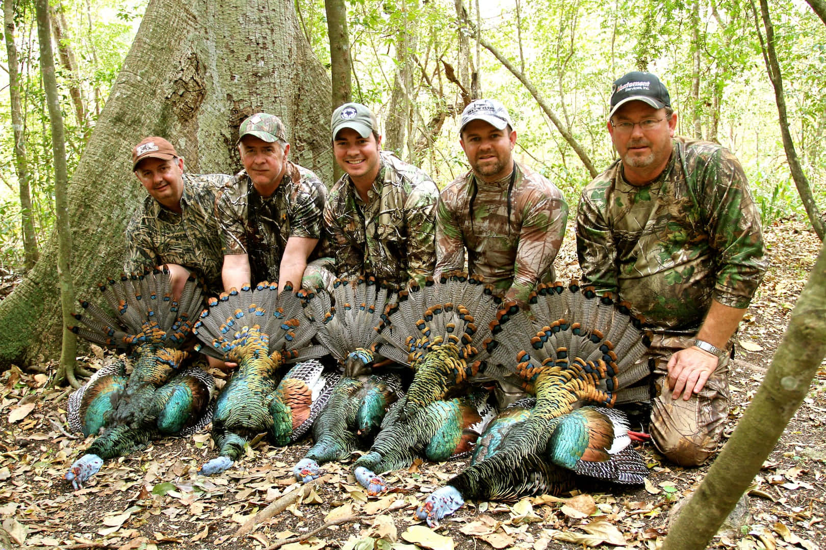 Turkey Hunting, camouflage, harvested turkeys, HD Desktop Wallpaper