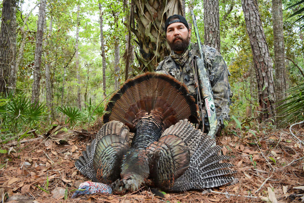 Turkey Hunting, camouflage, large male turkey, SD Desktop Wallpaper