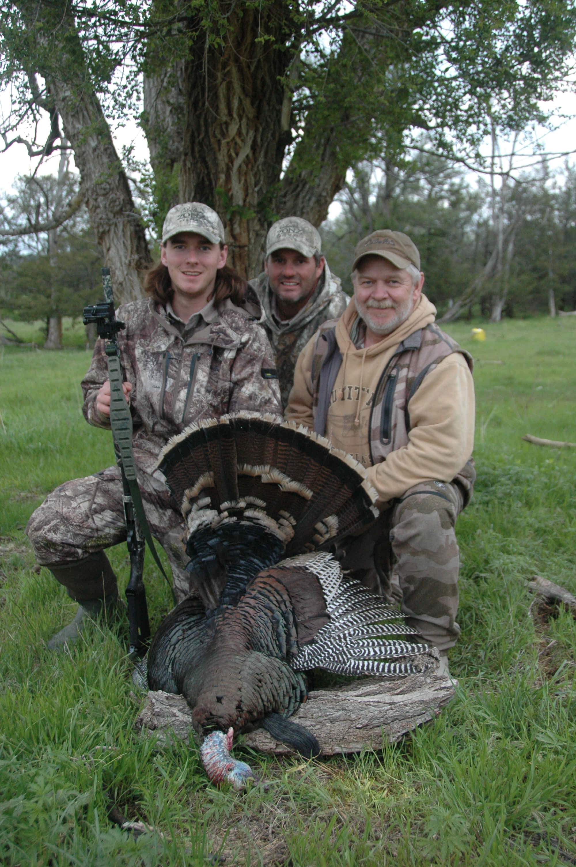 turkey hunting, camouflage gear, large turkey, 2K Phone Wallpaper
