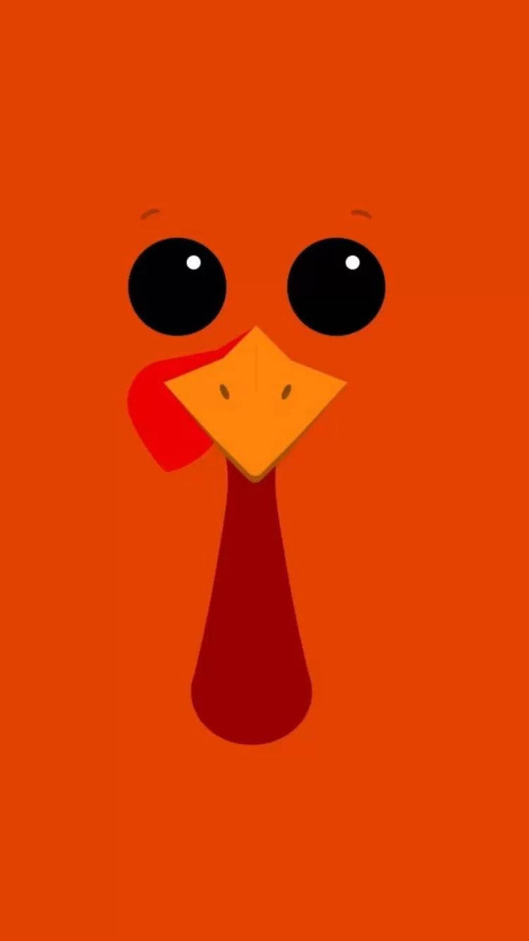 turkey, Happy Thanksgiving, cartoon turkey face, HD Phone Wallpaper