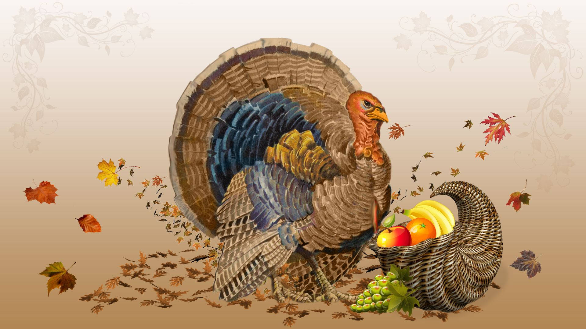 Turkey, cornucopia, autumn leaves, Full HD Desktop Wallpaper