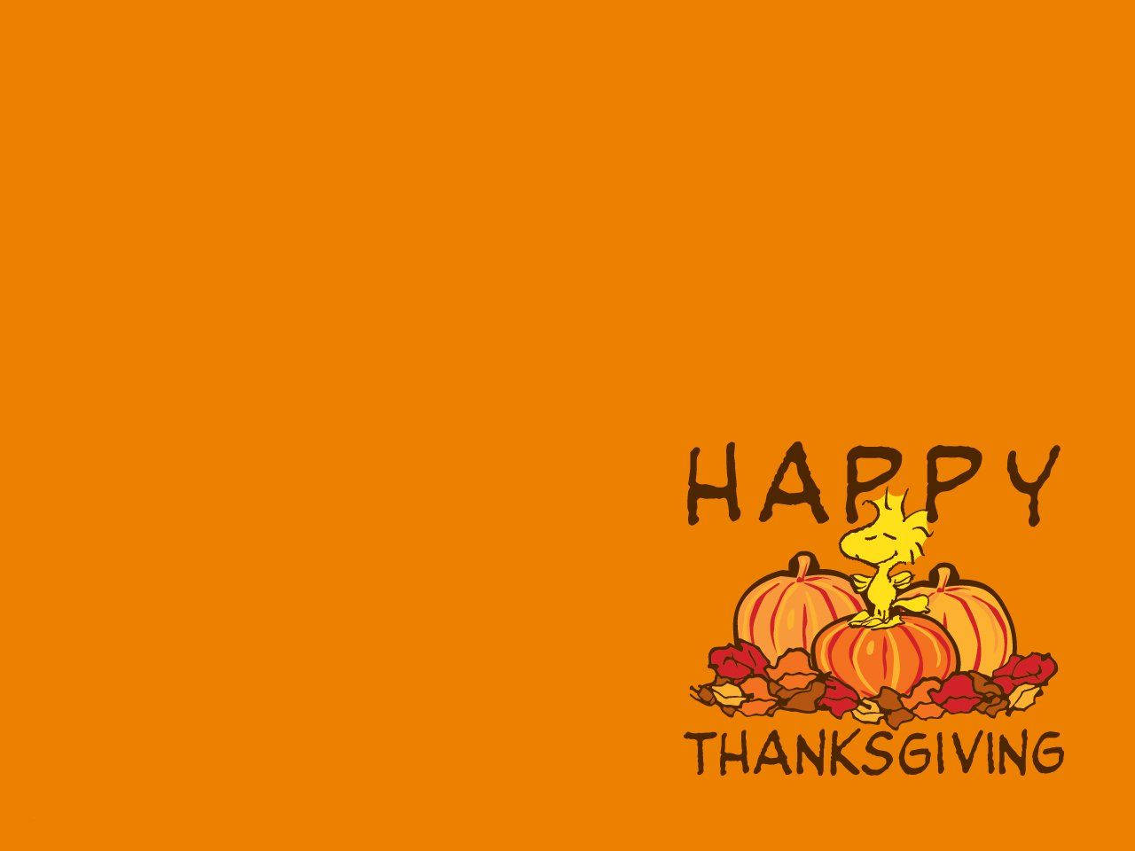 turkey, HAPPY THANKSGIVING, autumn leaves, HD Desktop Wallpaper