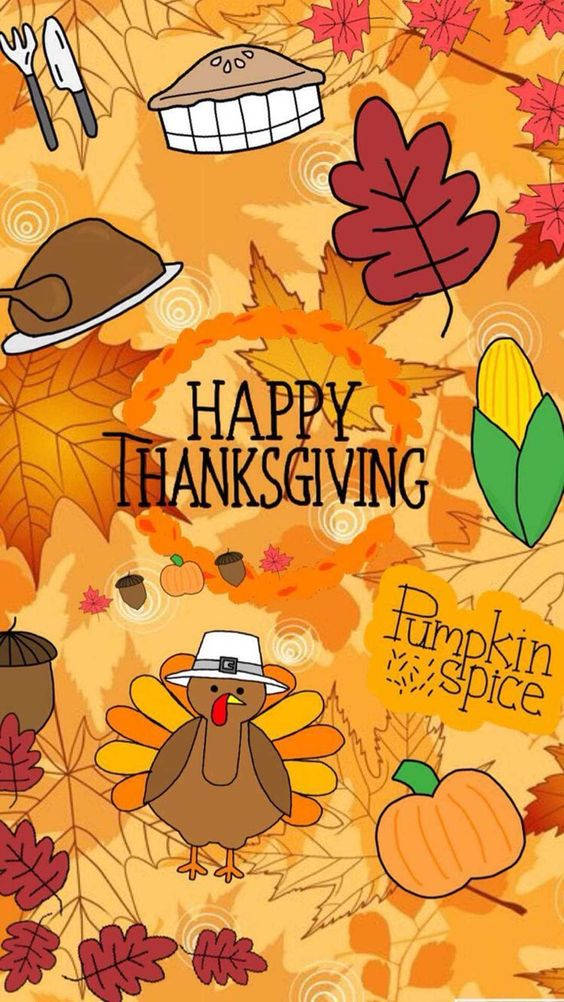 turkey, Thanksgiving, cartoon turkey, SD Phone Wallpaper