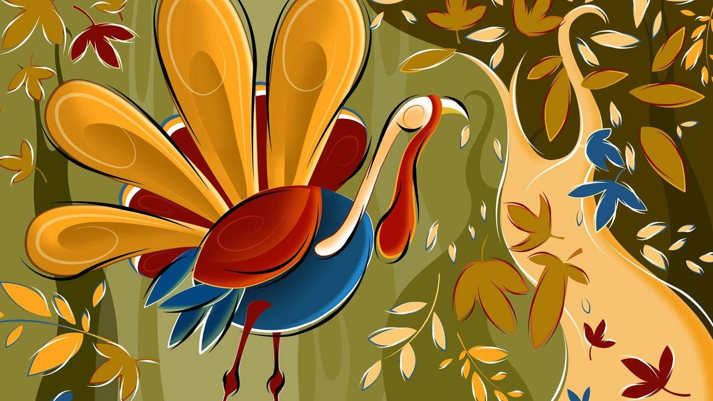turkey, orange feathers, blue feathers, HD Desktop Wallpaper