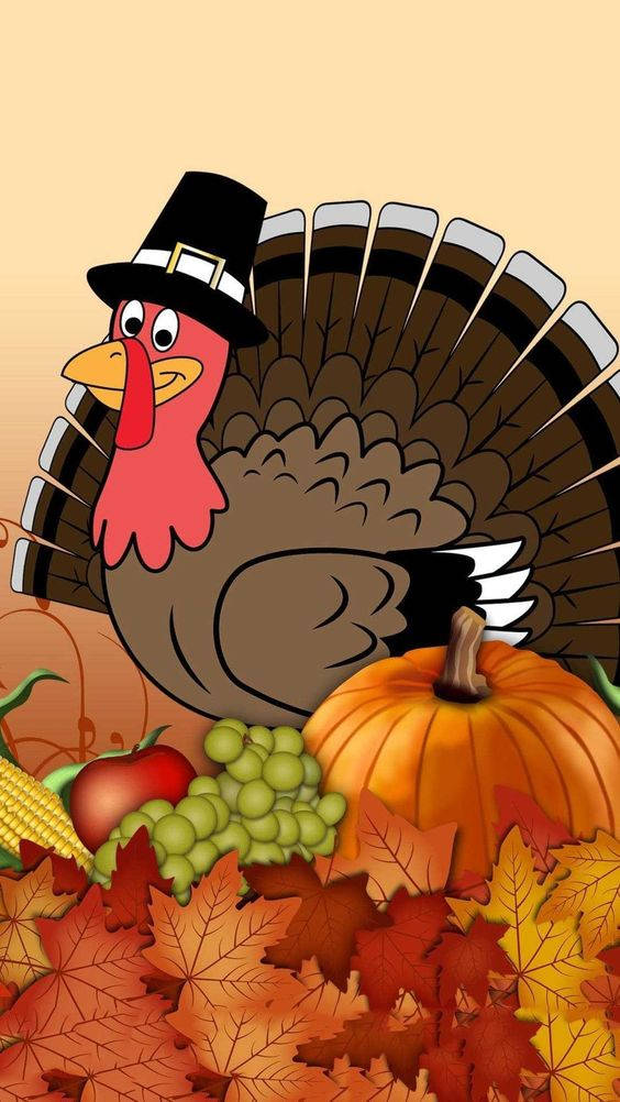 turkey, pilgrim hat, pumpkins, SD Phone Wallpaper