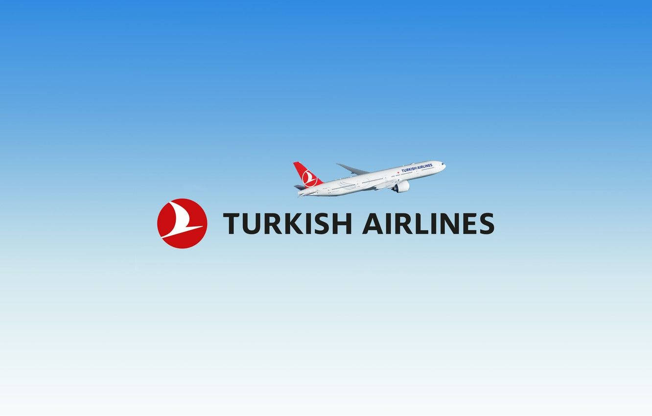Turkish Airlines, white bird logo, clear blue sky, HD Desktop Wallpaper