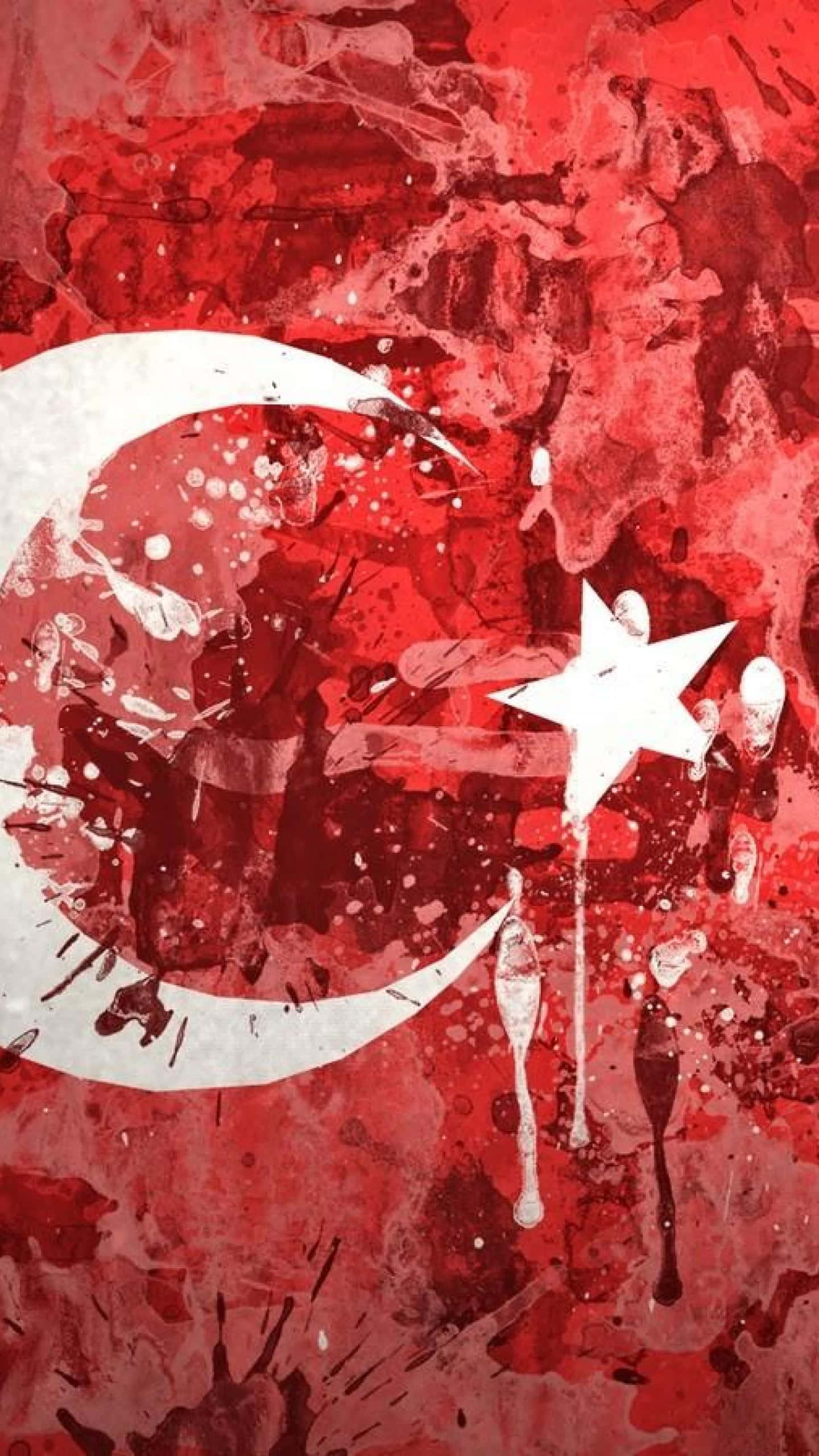 Turkish flag, white crescent, star, 2K Phone Wallpaper