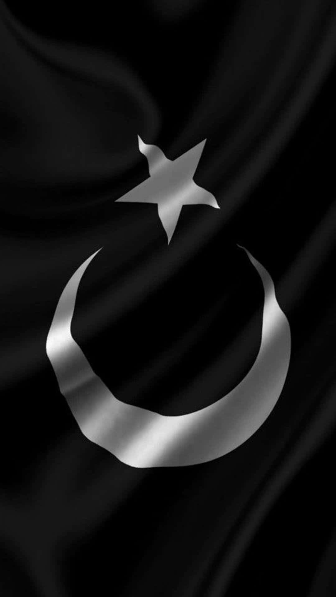 Turkish flag, silver crescent moon, star, Full HD Phone Wallpaper