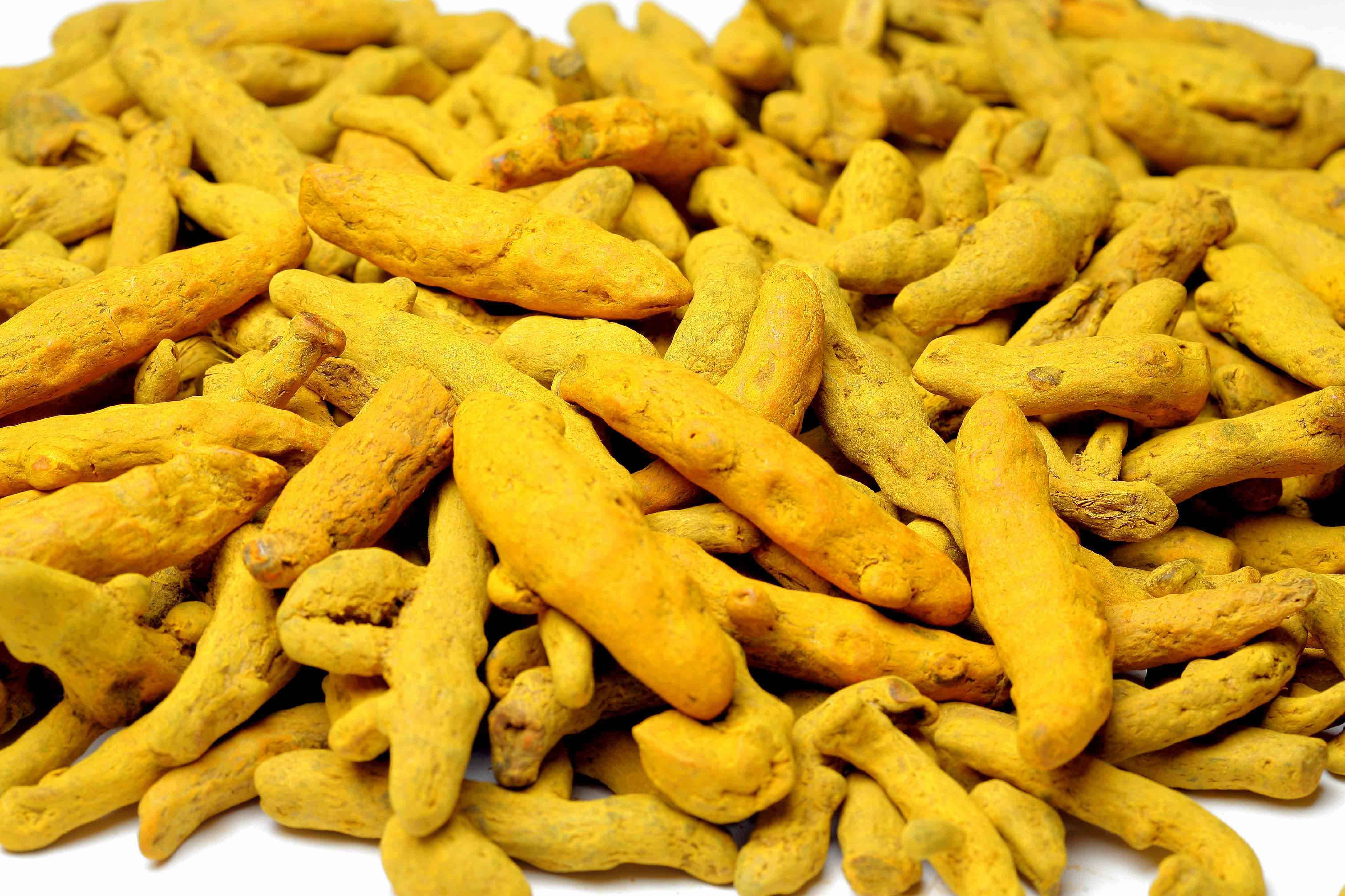 turmeric rhizomes, golden-yellow, stark white background, 4K Desktop Wallpaper