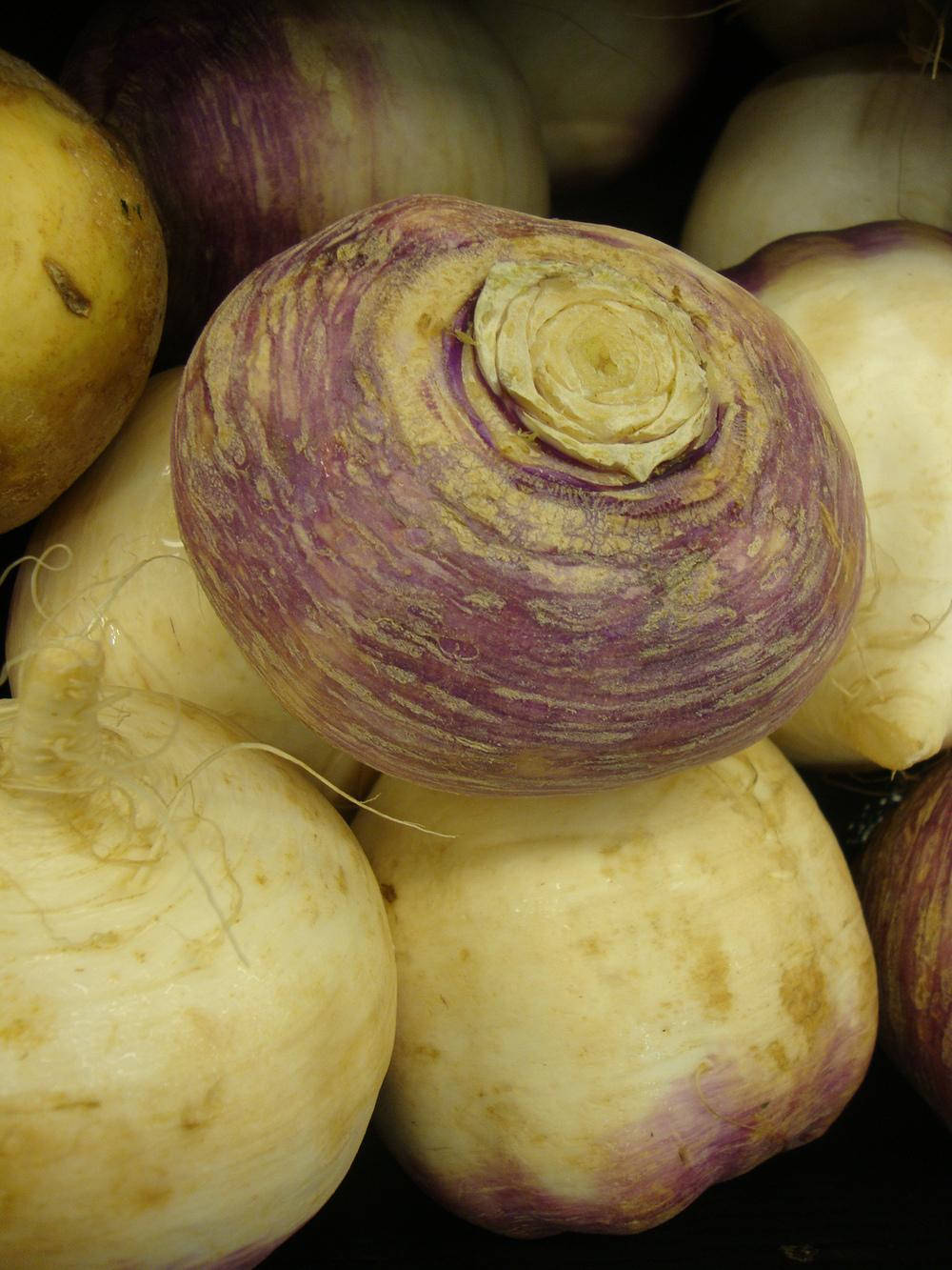white turnip, vibrant purple, creamy white, HD Phone Wallpaper