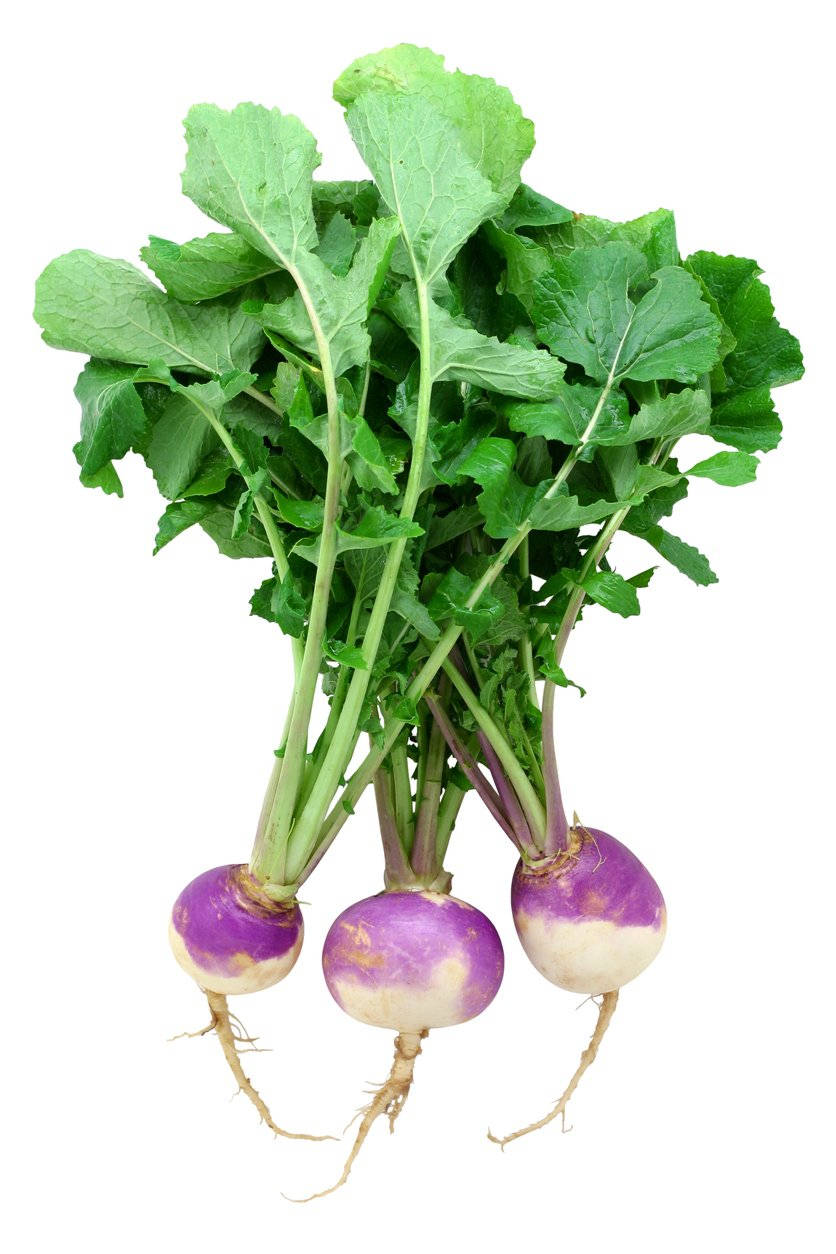 purple and white turnips, vibrant green leafy tops, clean white background, SD Phone Wallpaper