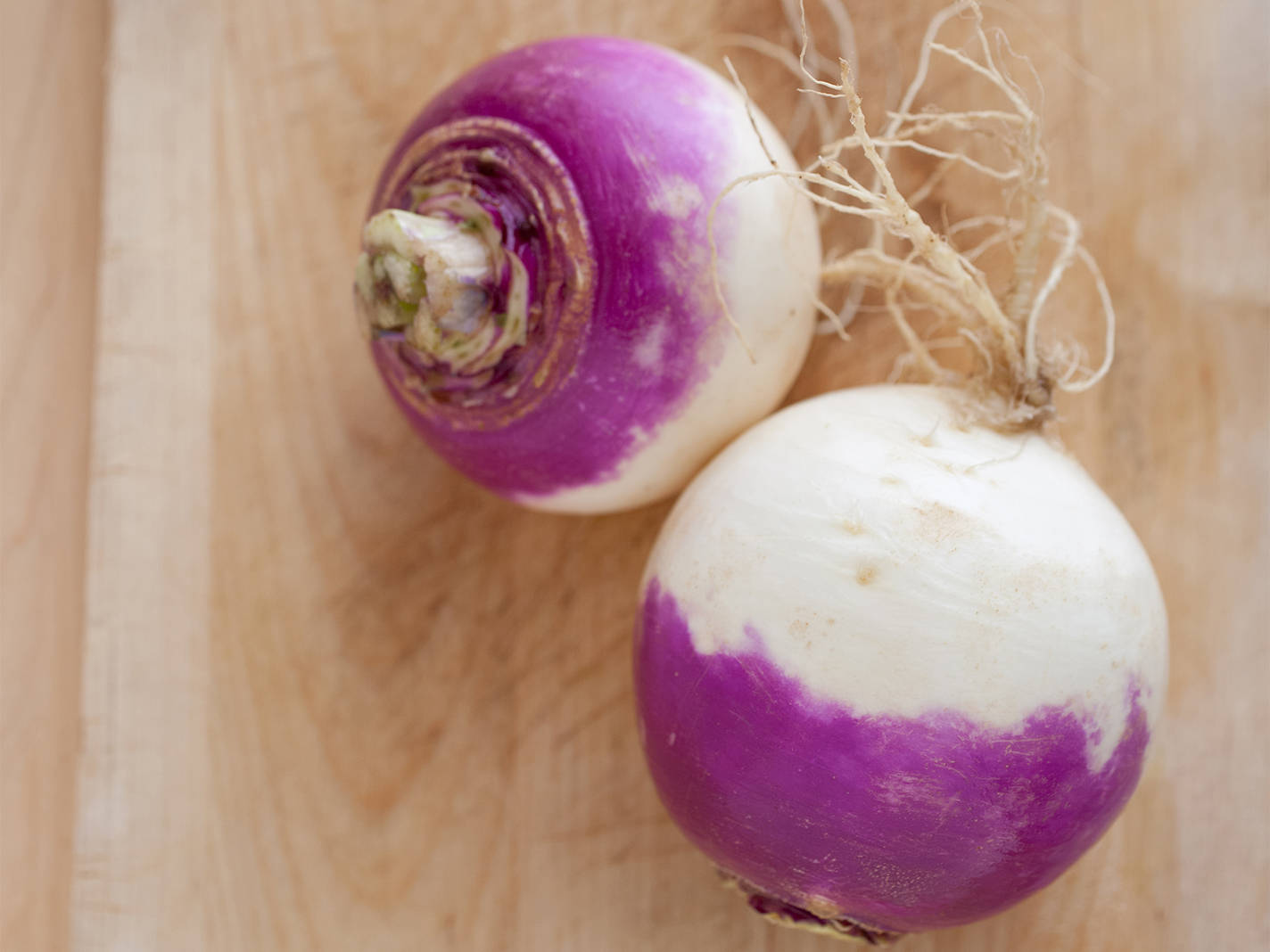 half white half purple turnips, purple and white turnips, fibrous roots, HD Desktop Wallpaper