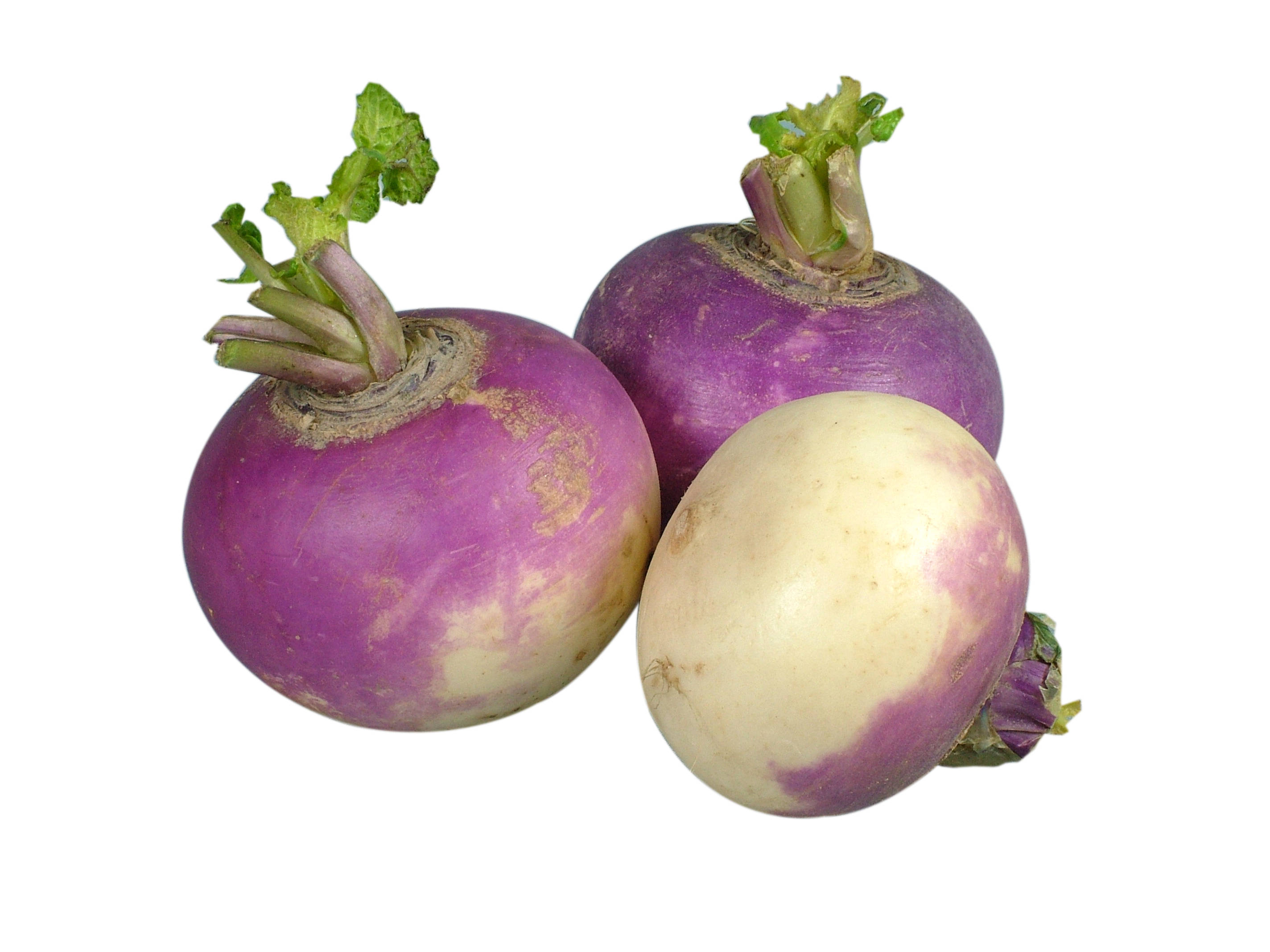 white purple turnips, purple turnips, white turnips, 2K Desktop Wallpaper