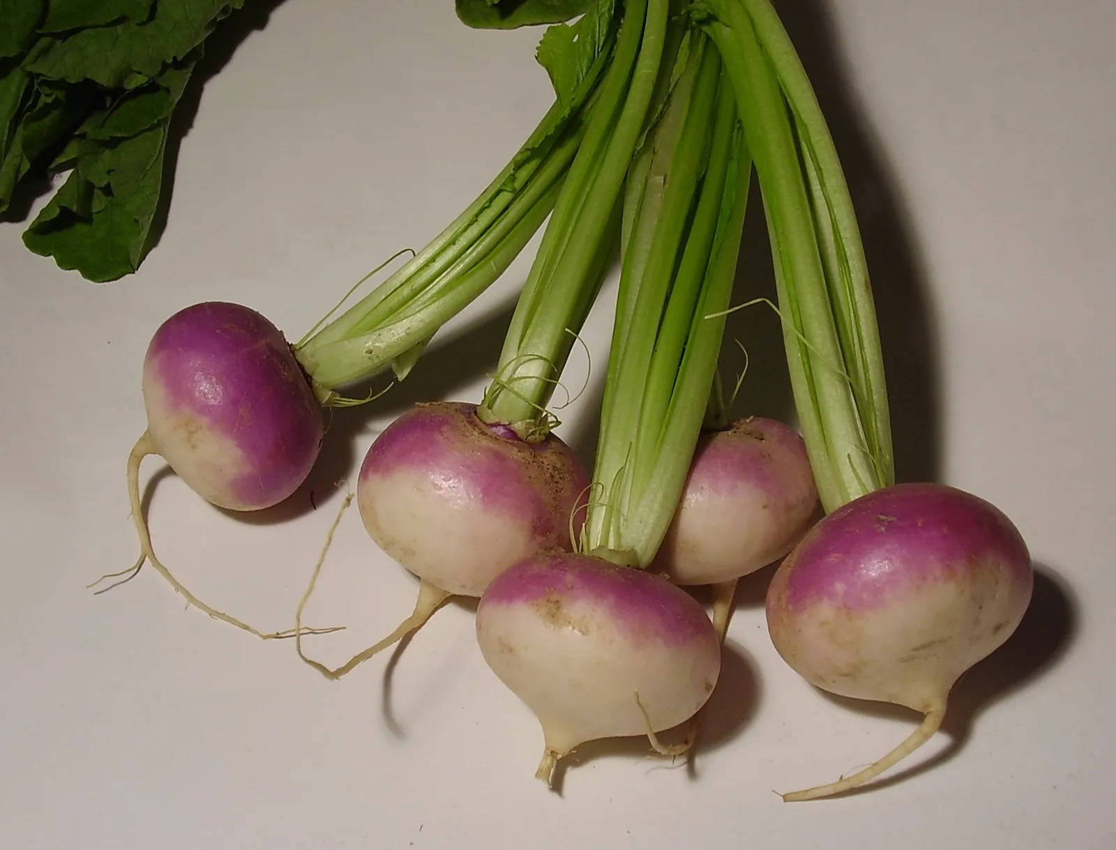 fun size turnips, purple-topped, green stems, HD Desktop Wallpaper