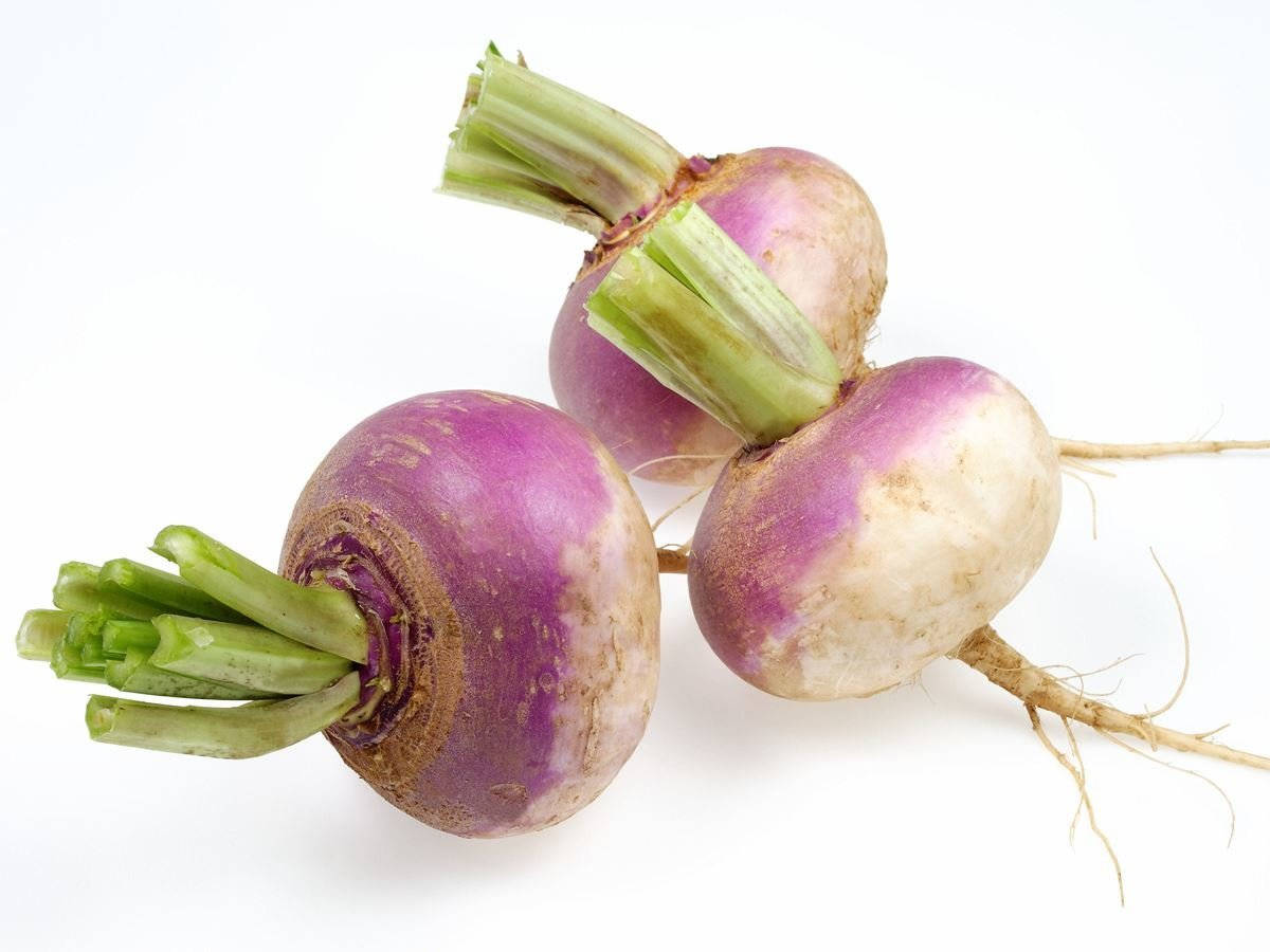 Turnip, purple, green stems, SD Desktop Wallpaper