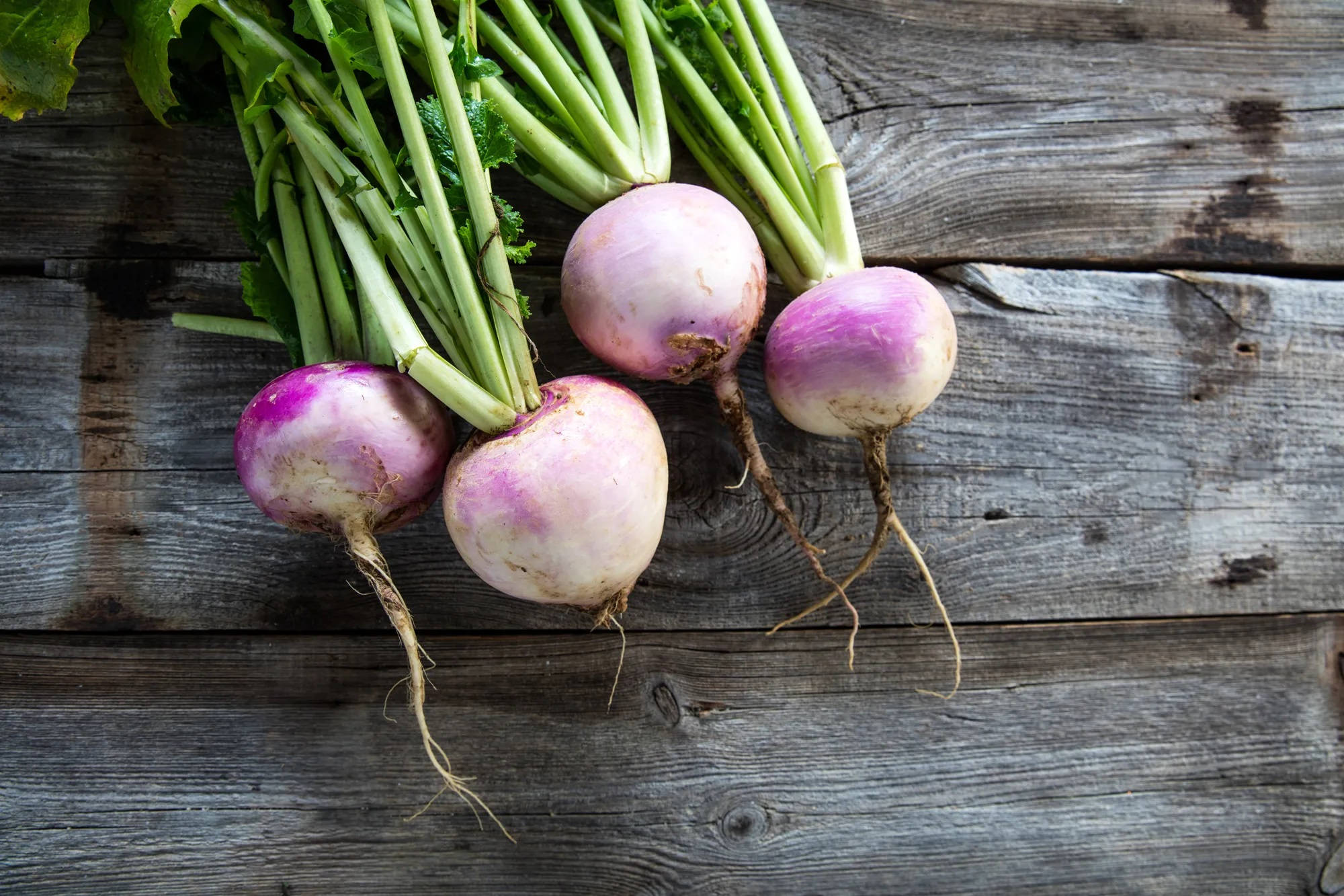 turnips, purple, white, Full HD Desktop Wallpaper