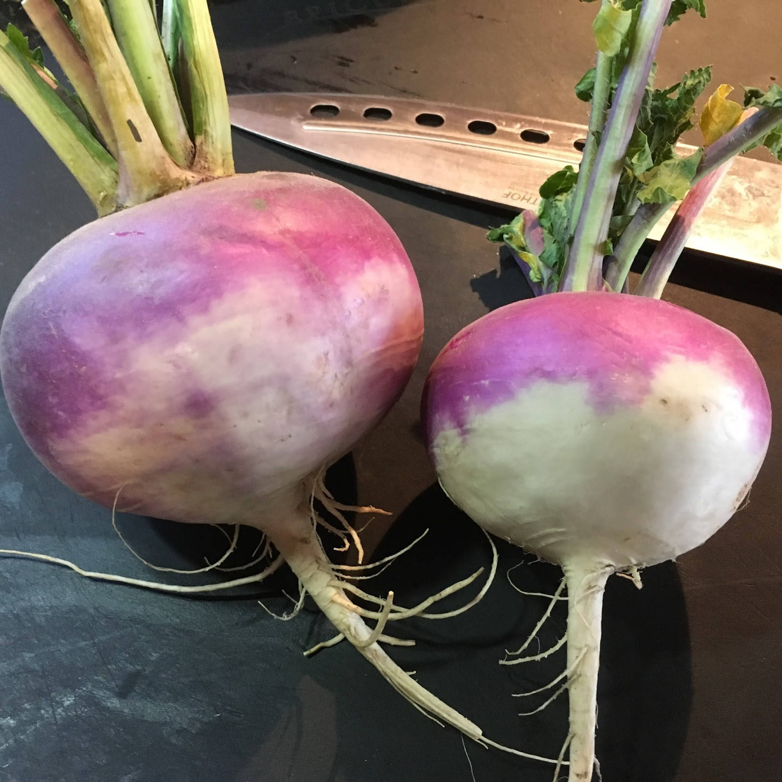 two turnips, purple and white turnips, green stems, HD Desktop Wallpaper