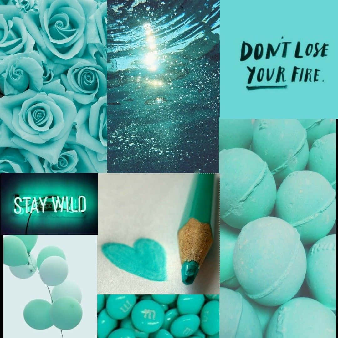 turquoise aesthetic, teal-themed, roses, SD Desktop Wallpaper