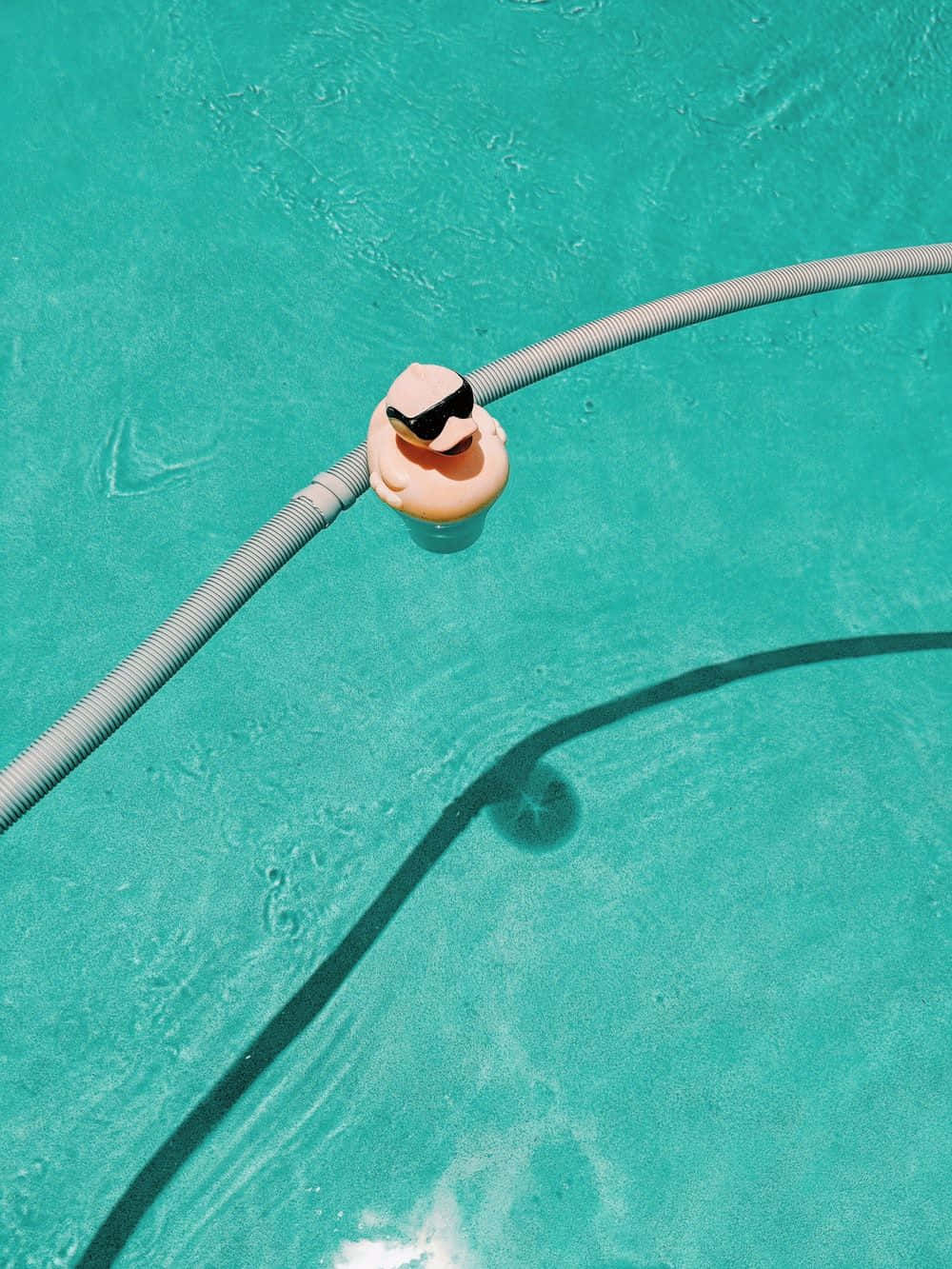 turquoise pool water, pink rubber duck, sunglasses, HD Phone Wallpaper