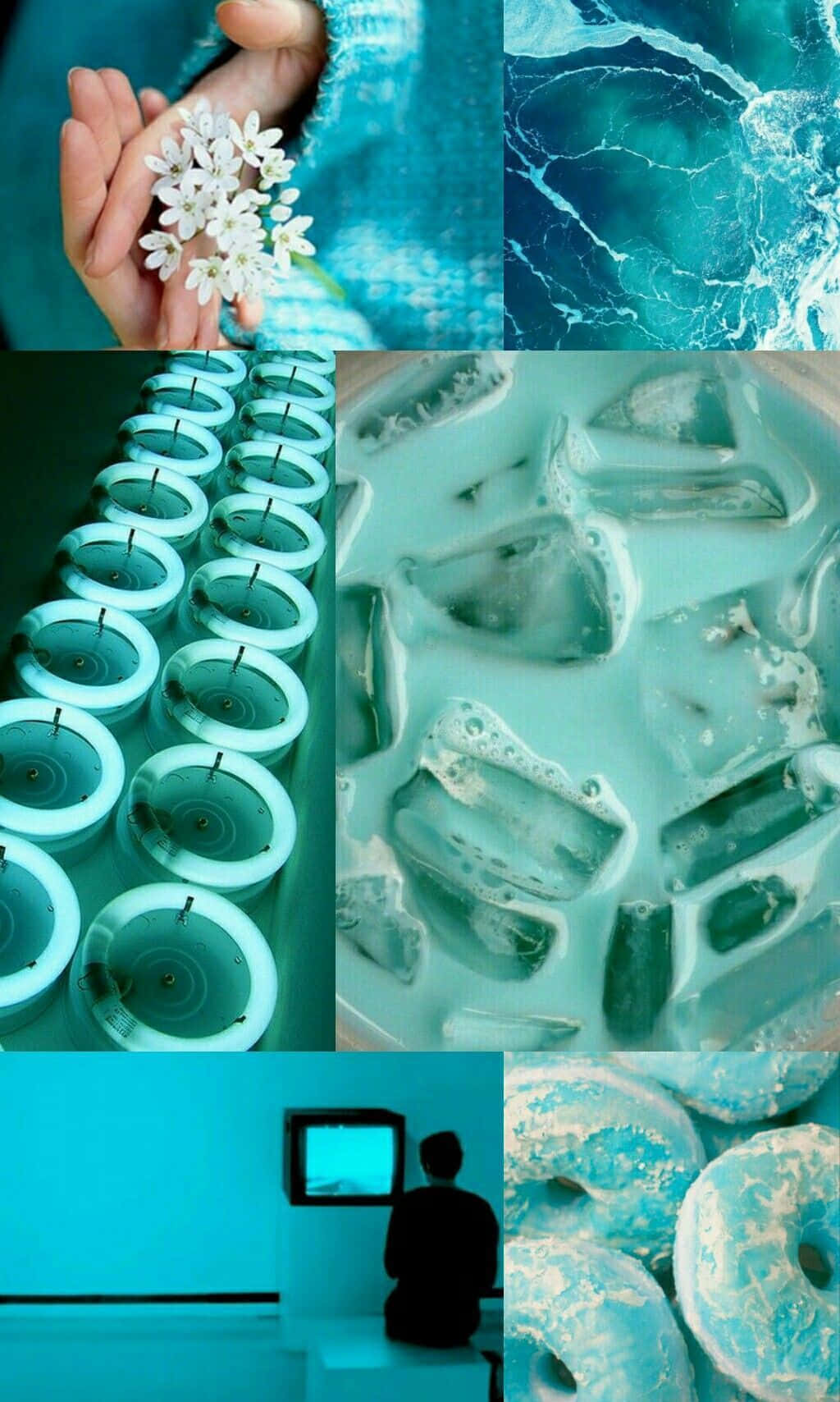 teal-toned, collage, hands holding flowers, HD Phone Wallpaper