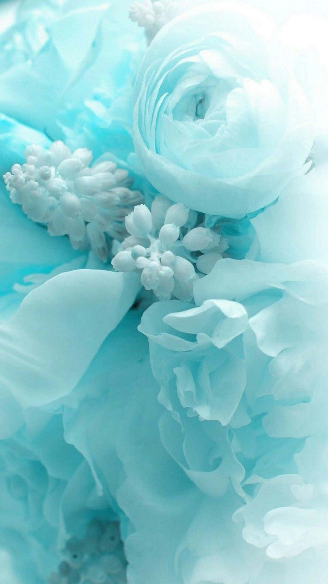 heavenly turquoise blue ocean view, soft pastel blue, white flowers, Full HD Phone Wallpaper