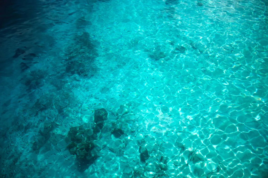 Turquoise Green