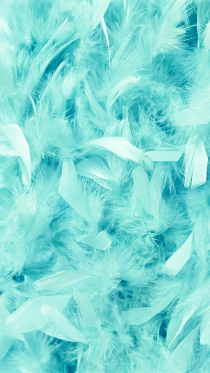 turquoise, summer day, fluffy feathers, HD Phone Wallpaper