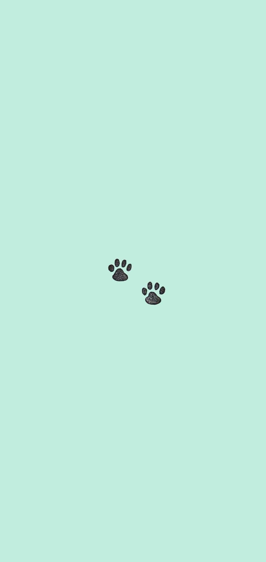 turquoise, mint green, paw prints, Full HD Phone Wallpaper