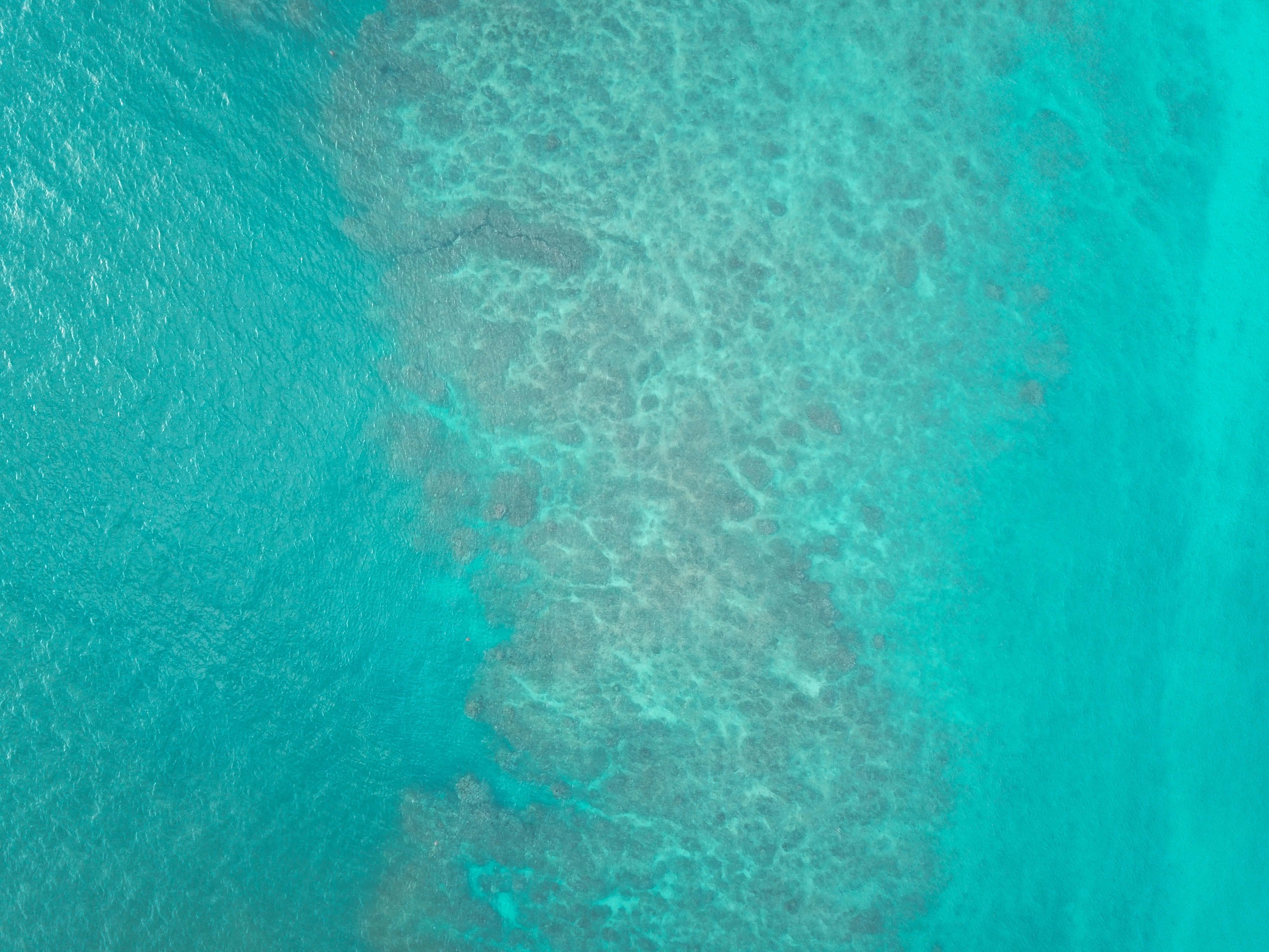 Turquoise Green, 4000 x 3000, vibrant turquoise ocean water, 4K Desktop Wallpaper