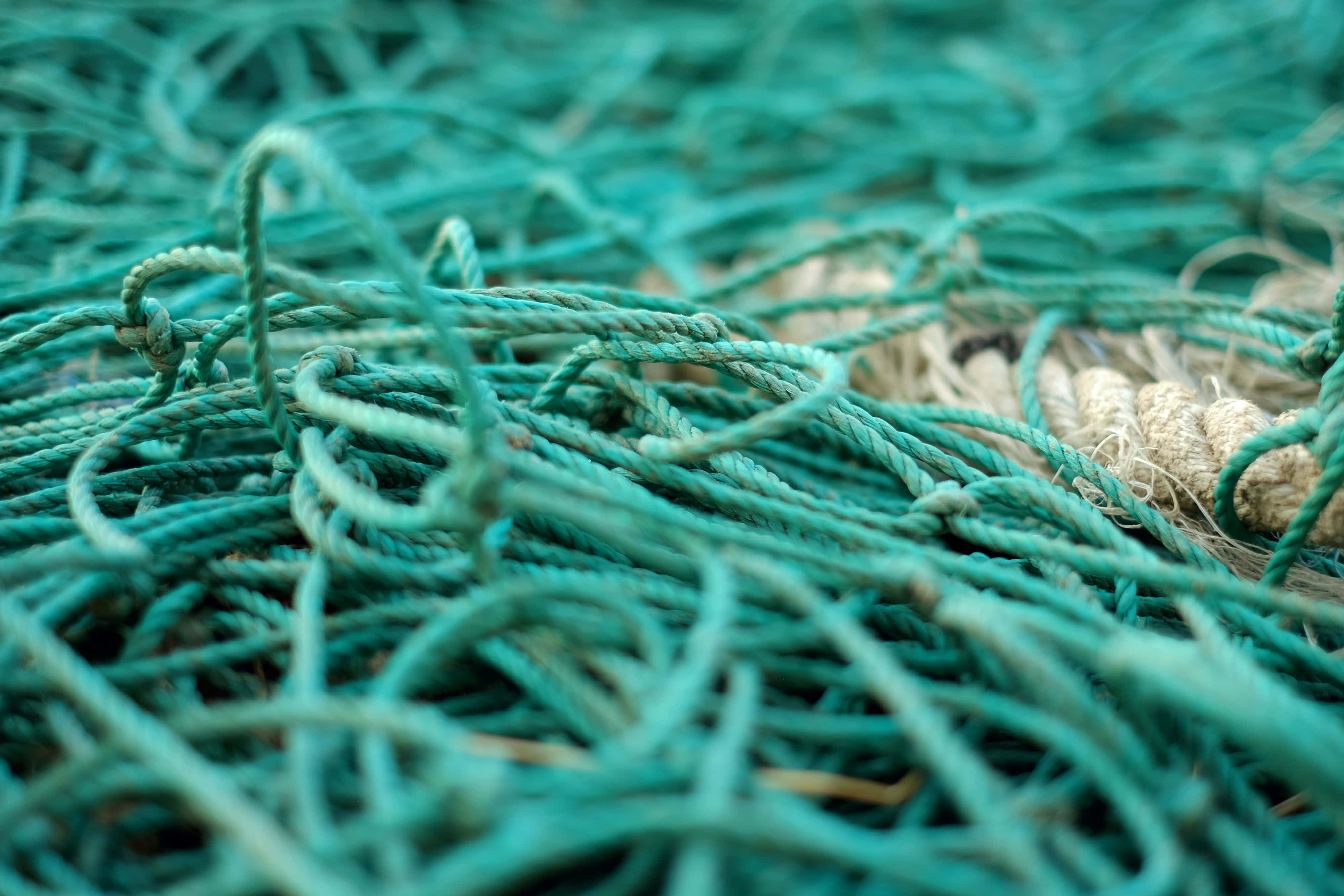 Turquoise Green, teal fishing nets, natural rope accents, 4K Desktop Wallpaper