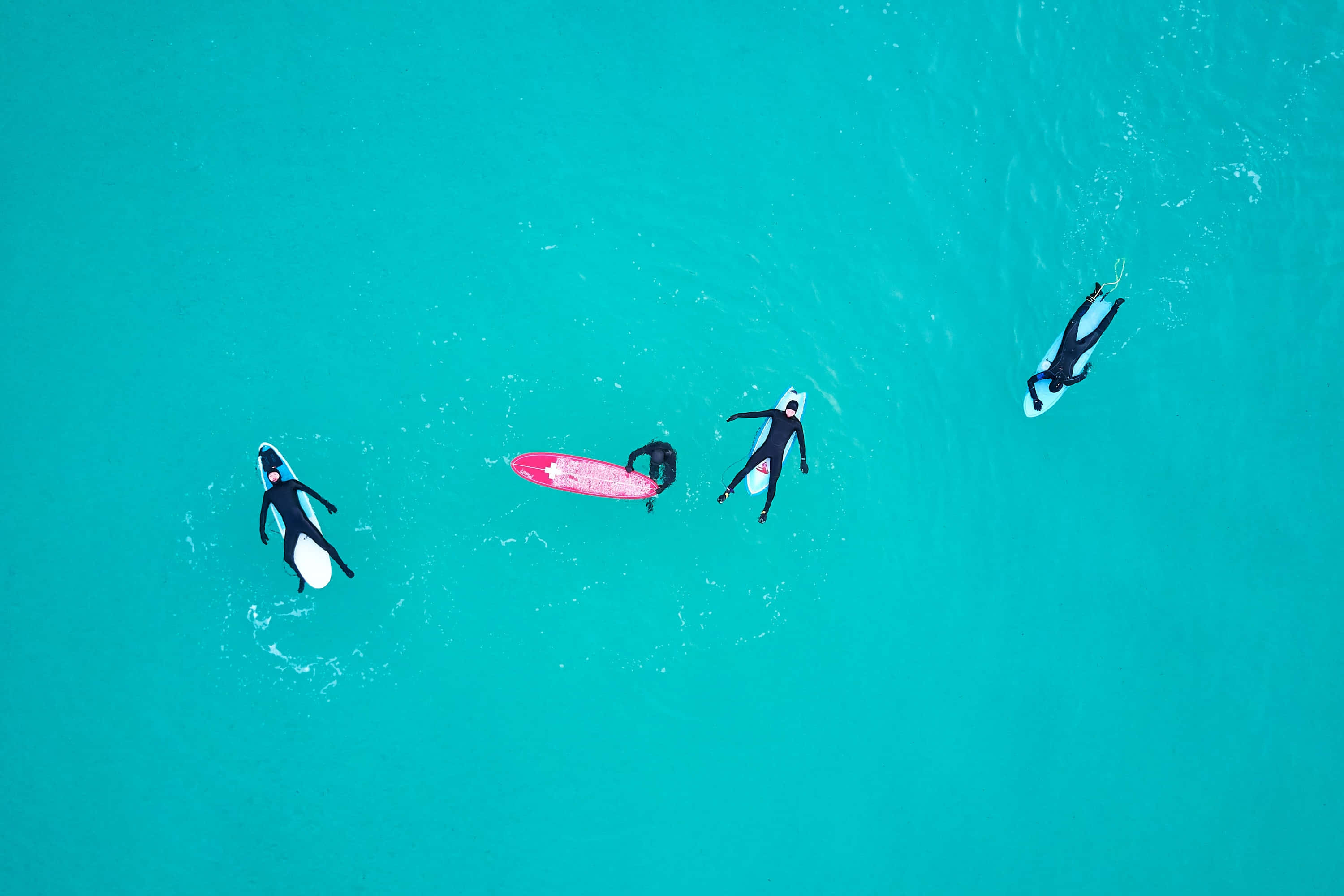 Turquoise Green, 3000 x 2000, black wetsuits, 2K Desktop Wallpaper