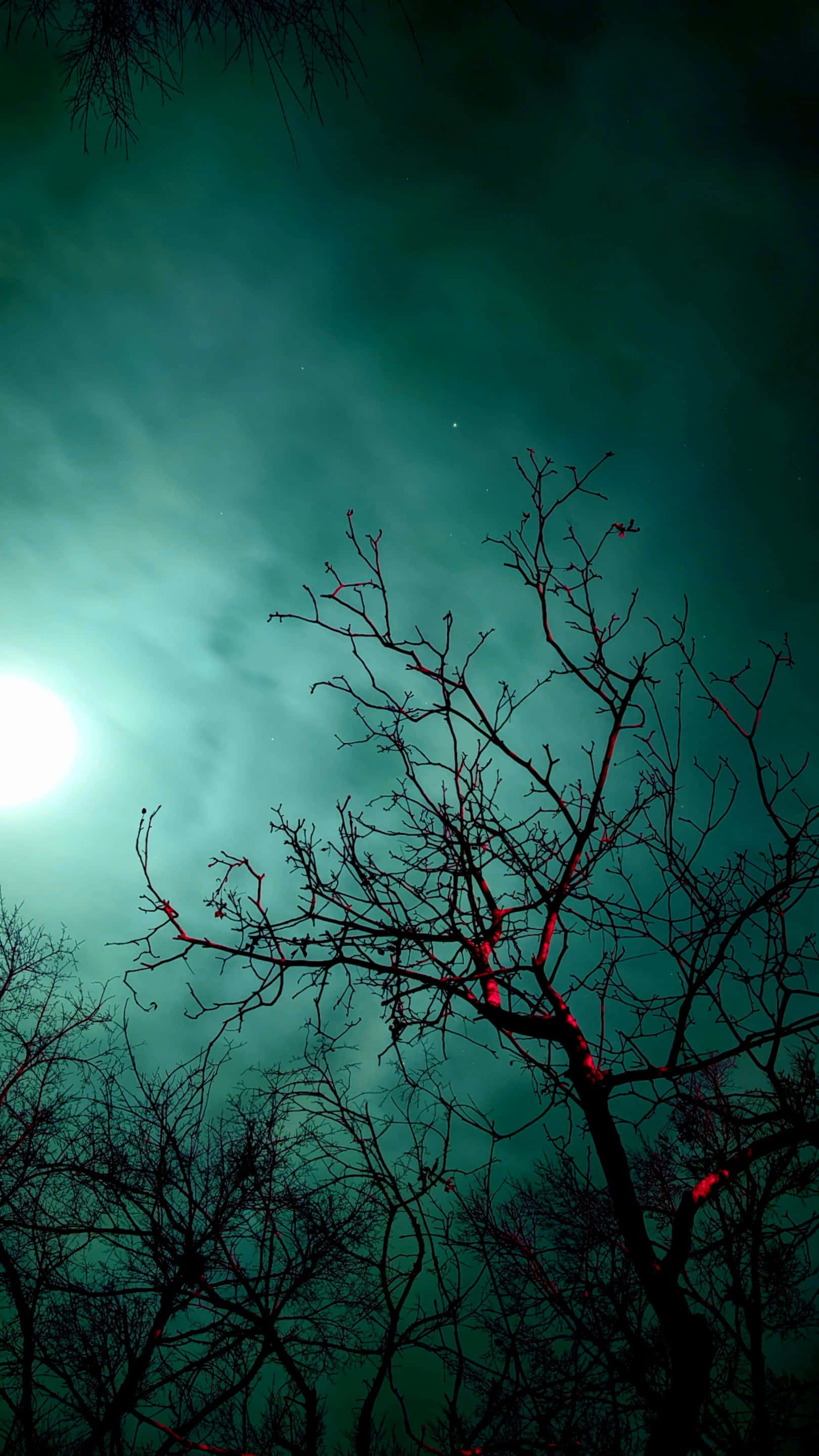 Turquoise Green, teal night sky, bright moon, 2K Phone Wallpaper