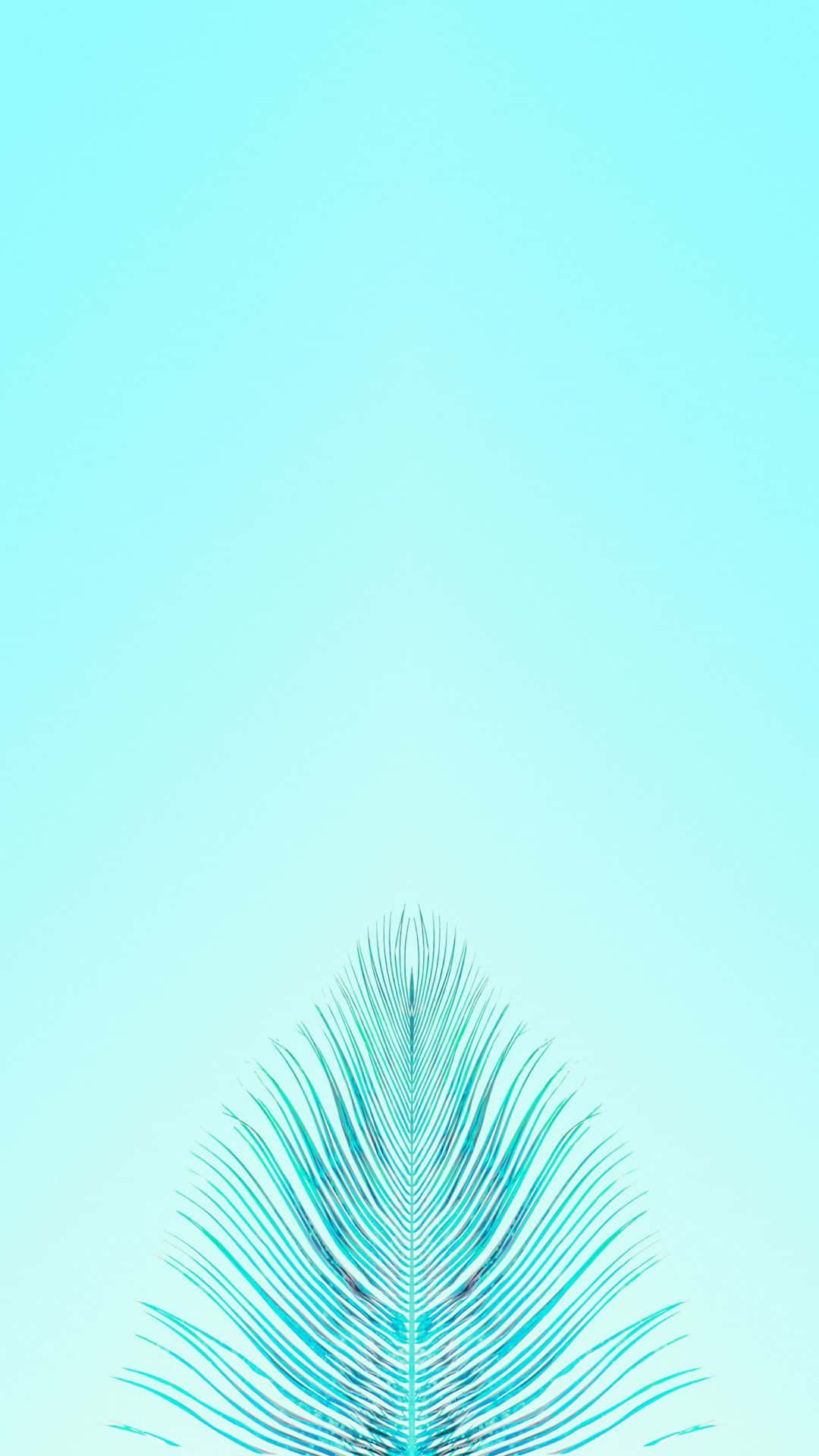 Turquoise iPhone, teal palm frond, soft gradient sky blue background, Full HD Phone Wallpaper