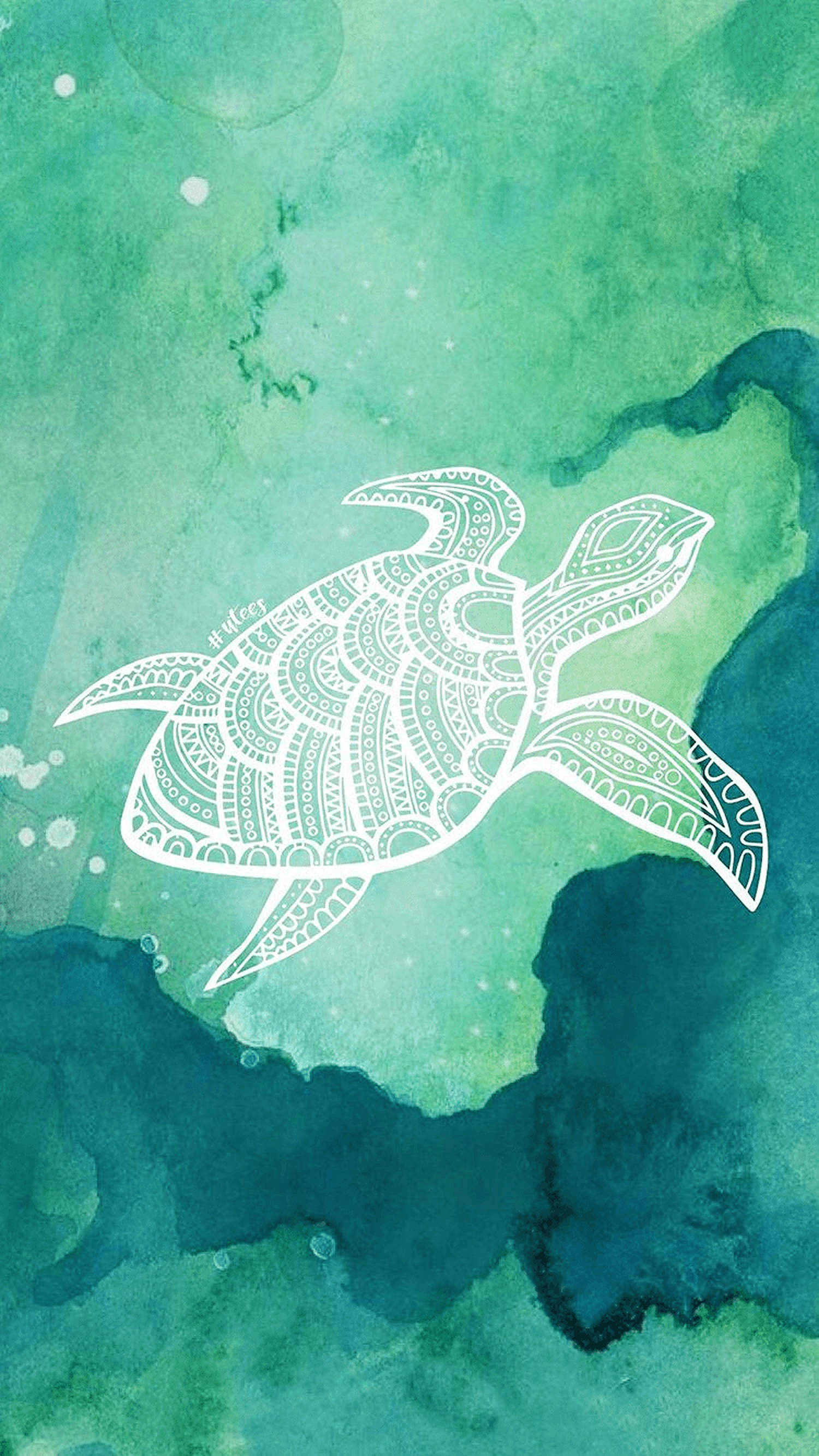 white, sea turtle, teal, 2K Phone Wallpaper