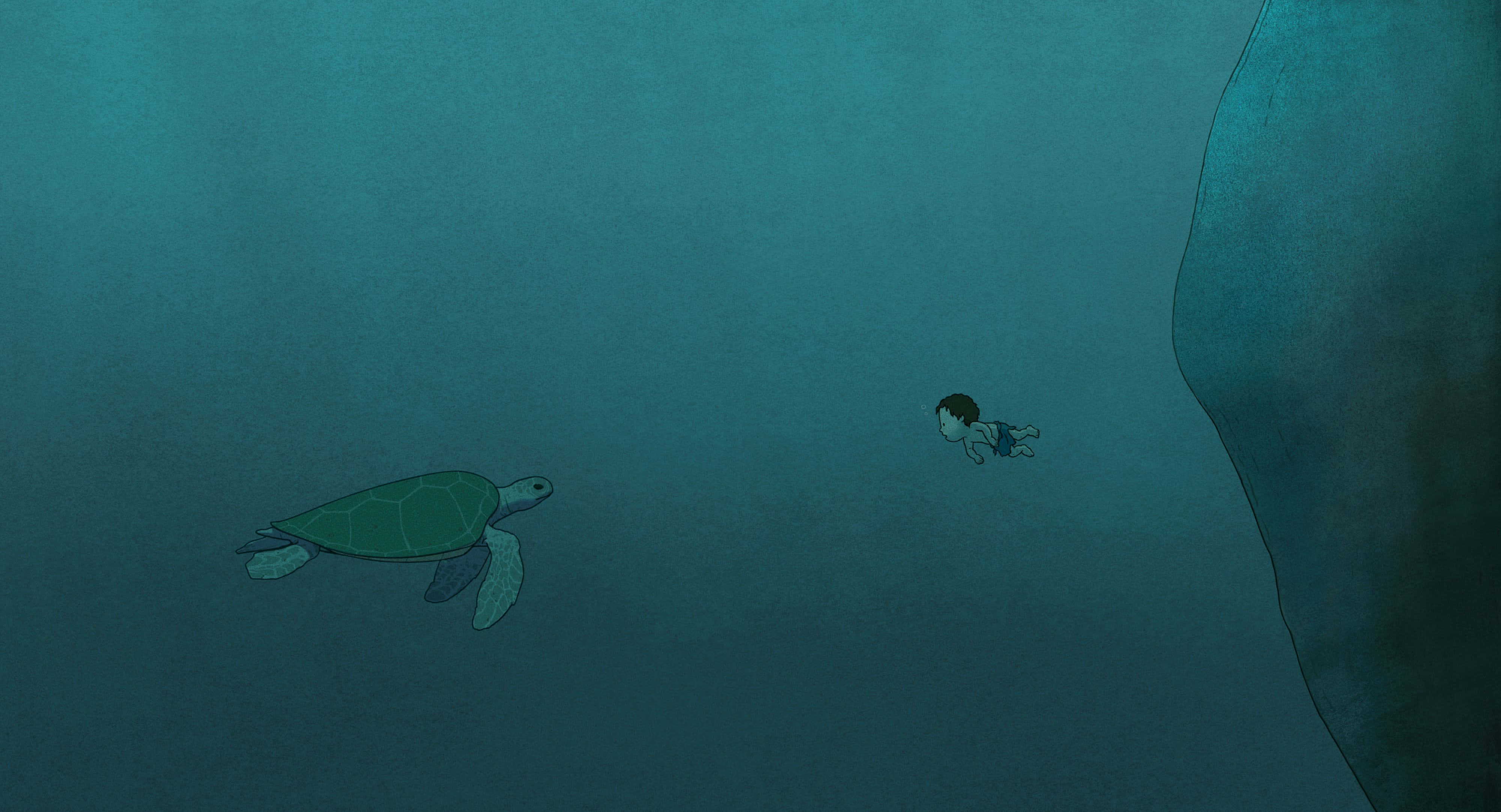 The Red Turtle, sea turtle, rocky cliff, 4K Desktop Wallpaper