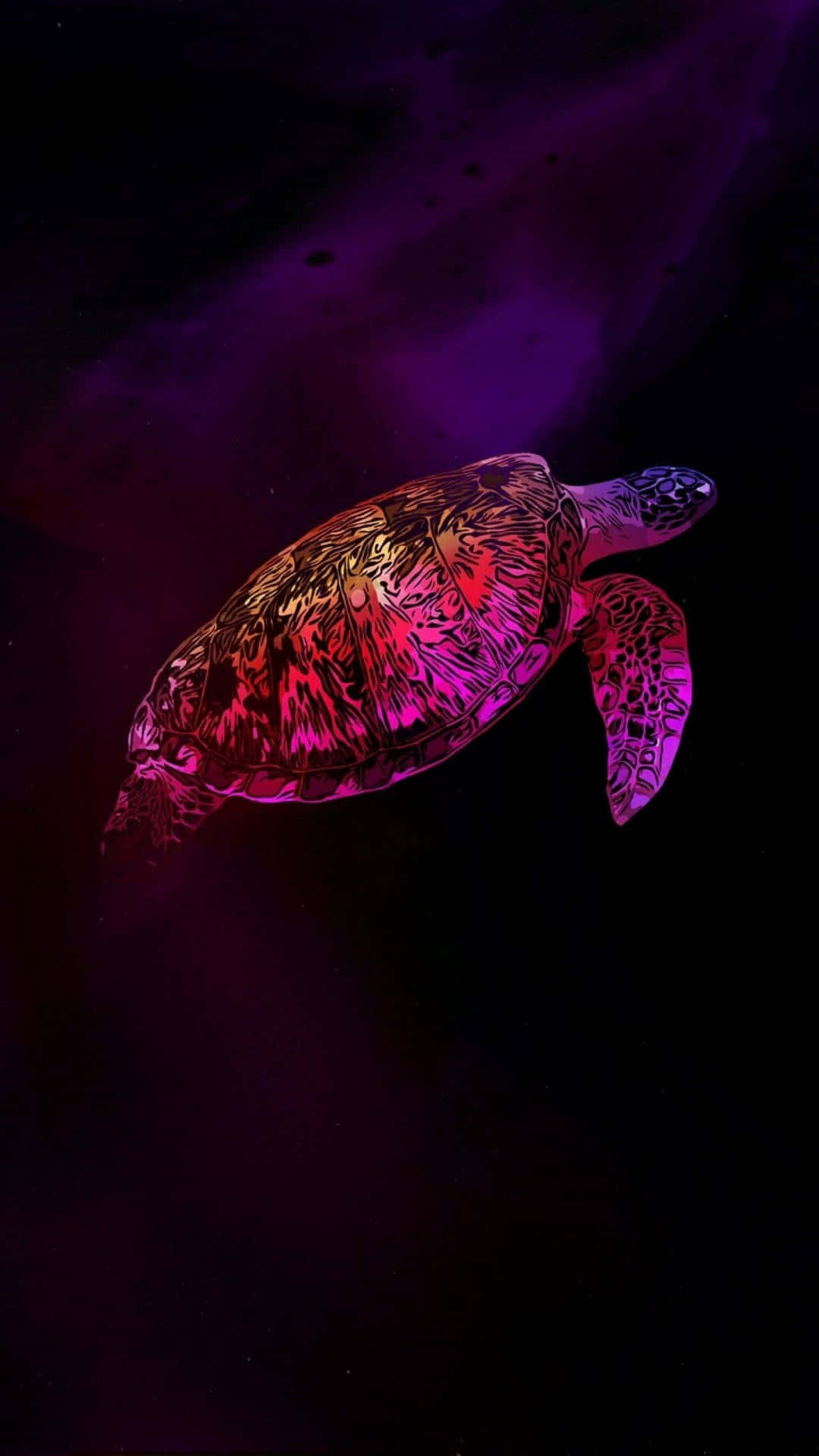 neon pink, purple, sea turtle, Full HD Phone Wallpaper
