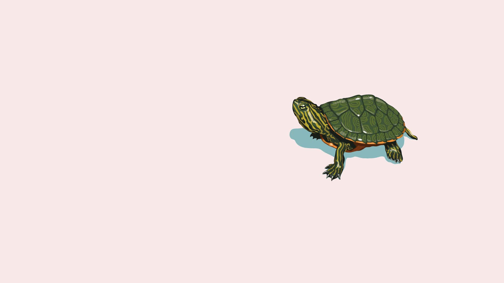 minimalist sea turtle art, cartoon turtle, green shell, Full HD Desktop Wallpaper