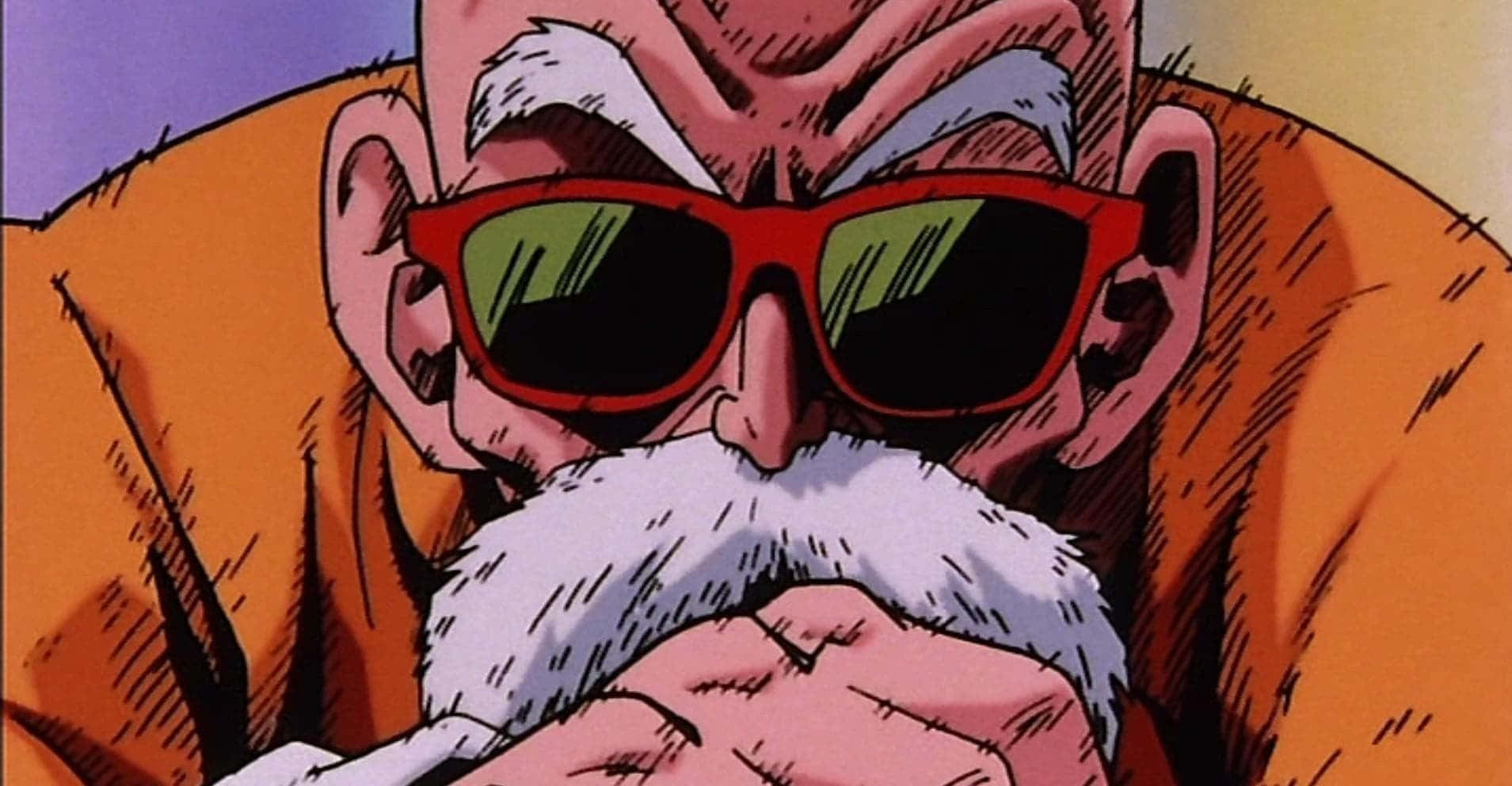 Turtle Hermit, white beard, red sunglasses, HD Desktop Wallpaper