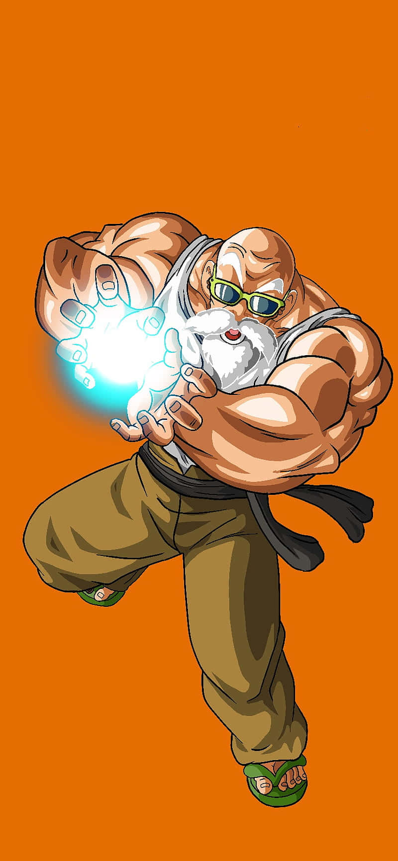 Turtle Hermit, 800 x 1731, green glasses, HD Phone Wallpaper