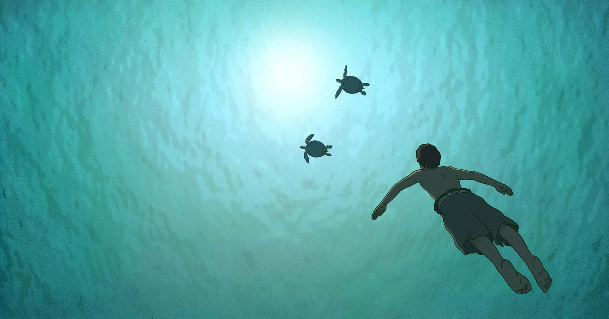 The Red Turtle, sea turtles, turquoise ocean water, Full HD Desktop Wallpaper