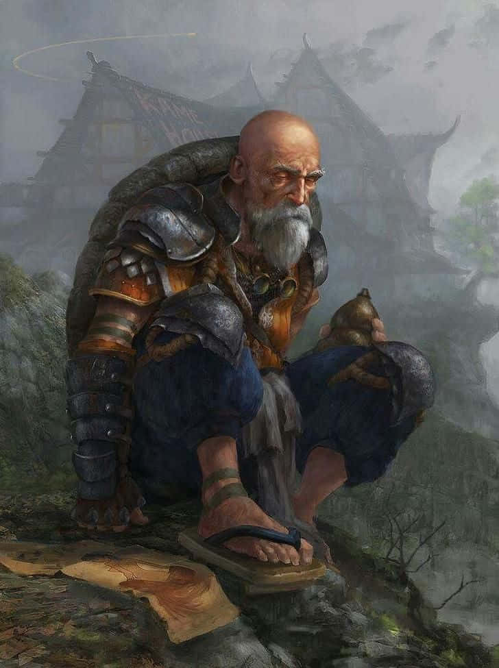 Turtle Hermit, weathered warrior monk, long white beard, SD Phone Wallpaper