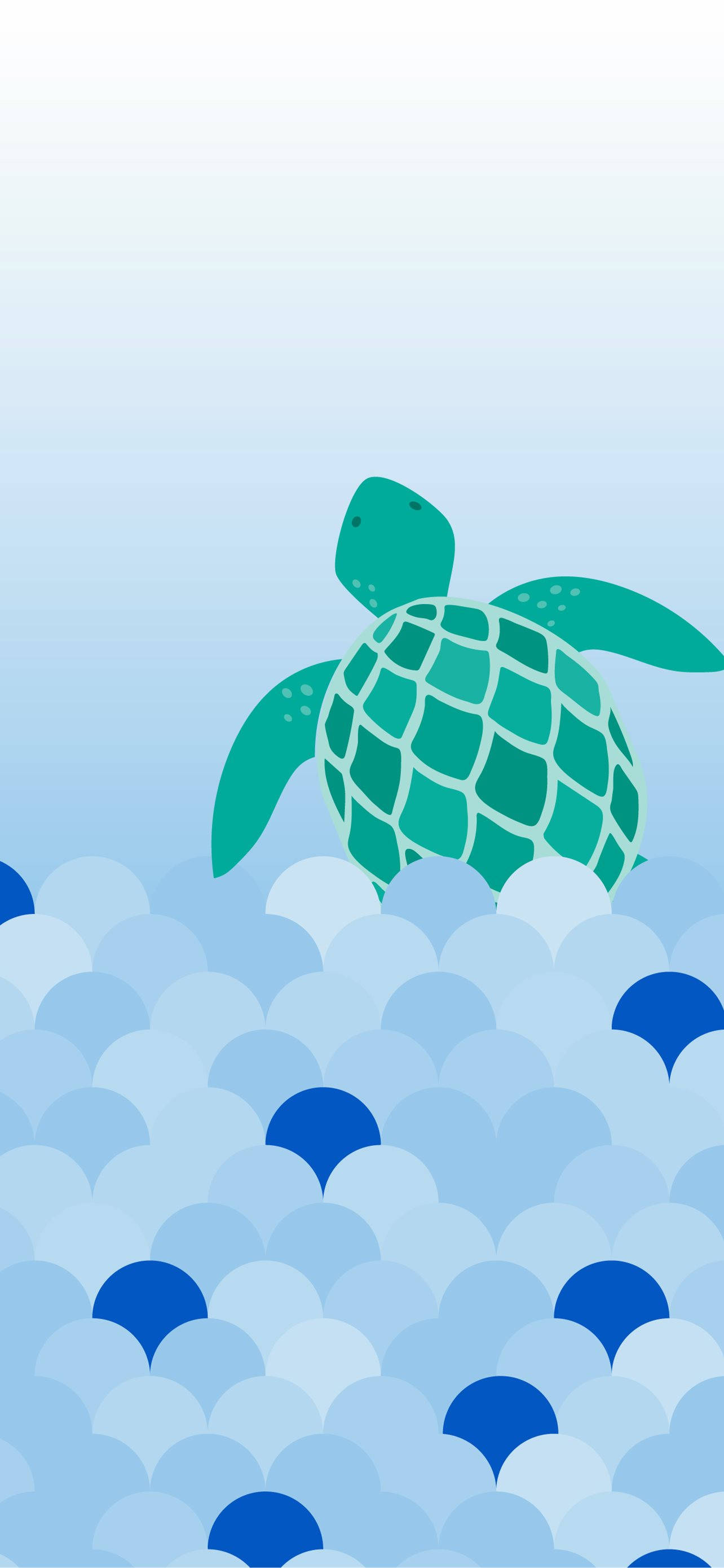 sea turtle, green sea turtle, blue ocean, 2K Phone Wallpaper