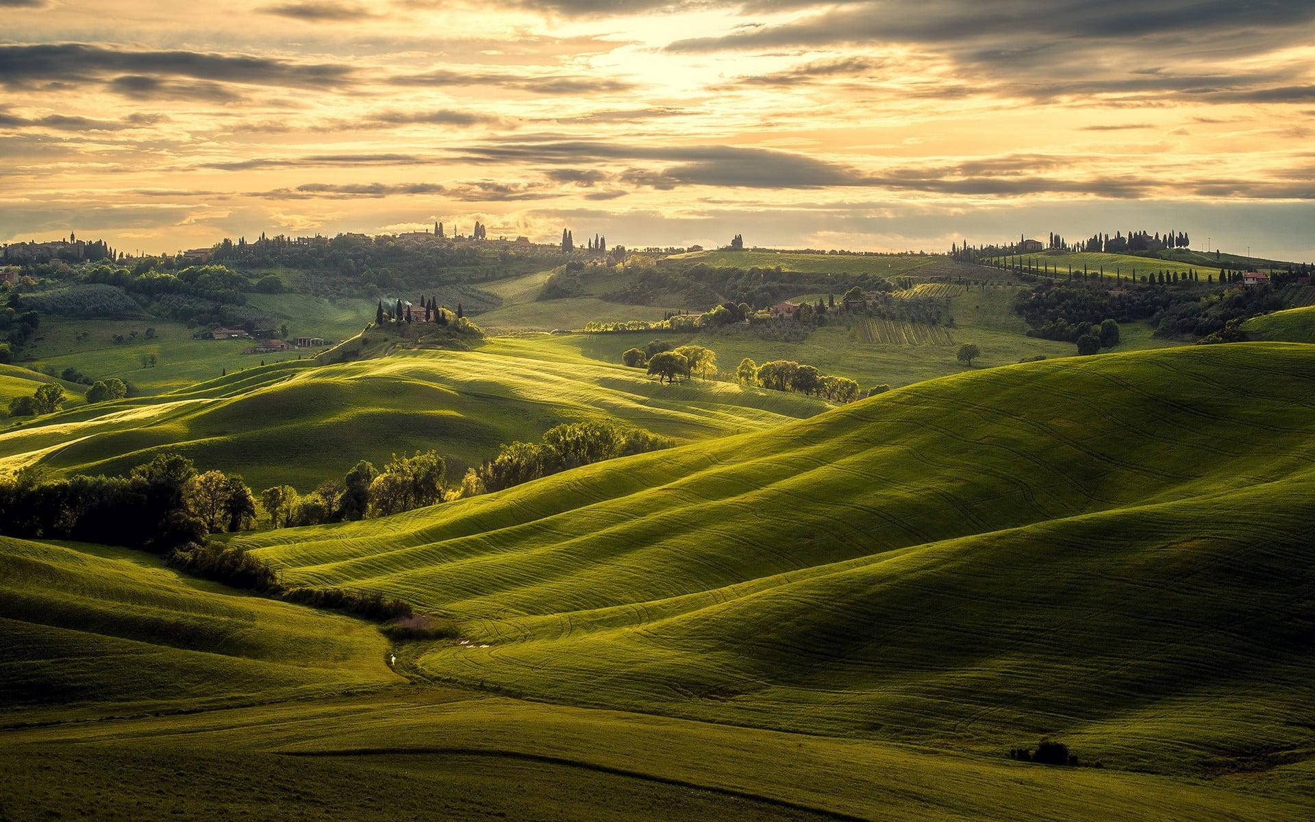 Tuscany, rolling green hills, cypress trees, Full HD Desktop Wallpaper