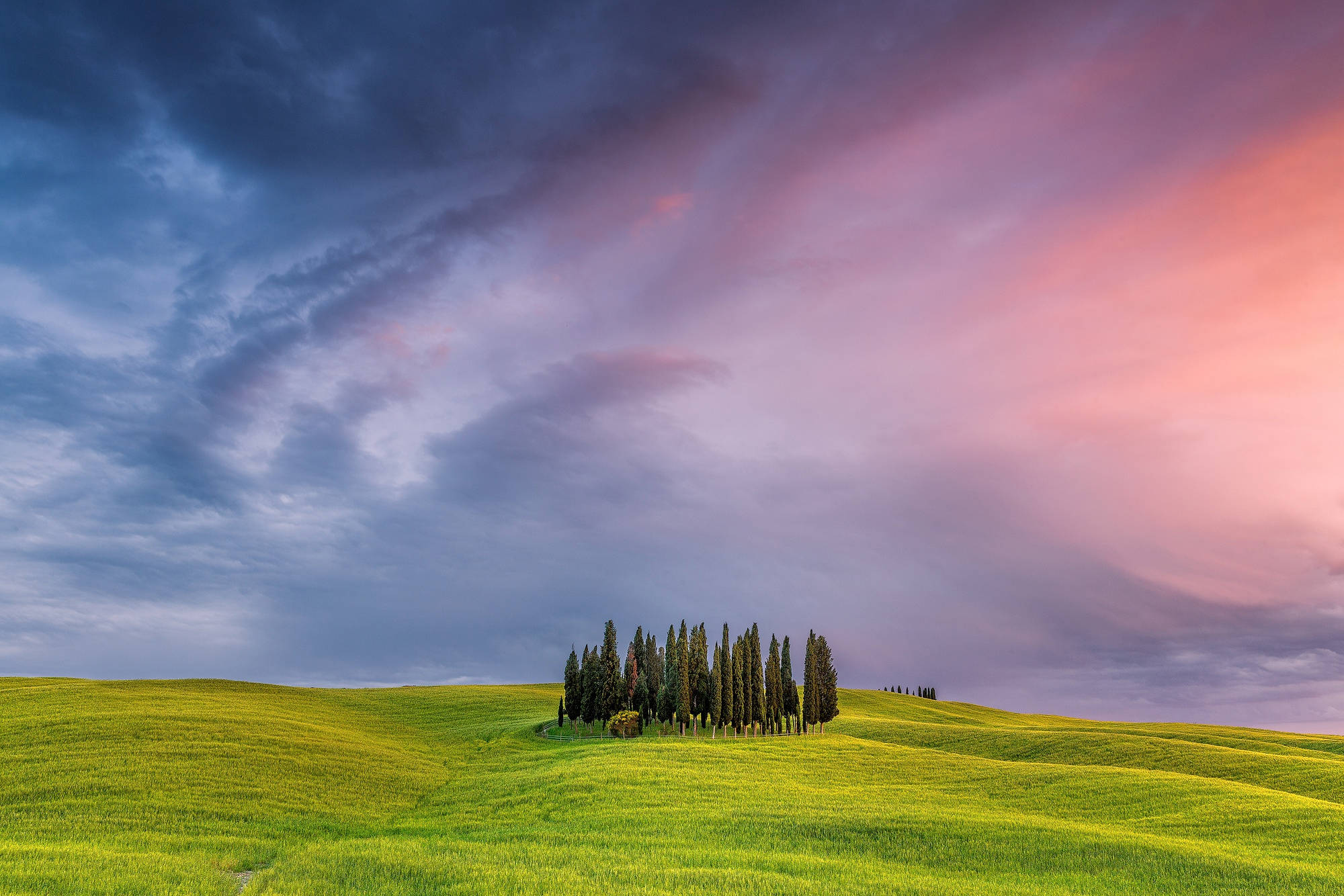 Tuscany, cypress trees, vibrant green hill, Full HD Desktop Wallpaper