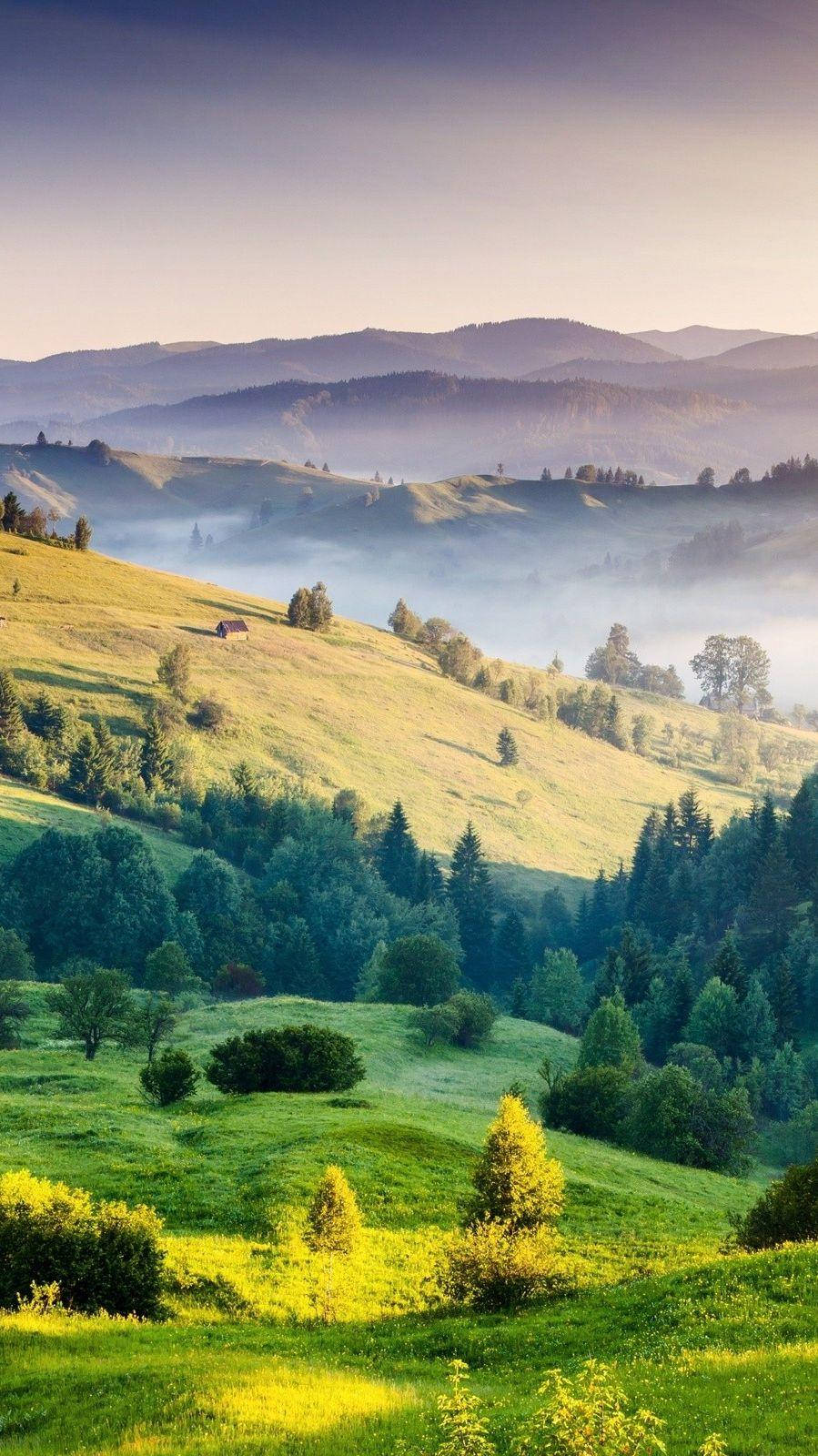 rolling hills of tuscany, green hills, forests, HD Phone Wallpaper