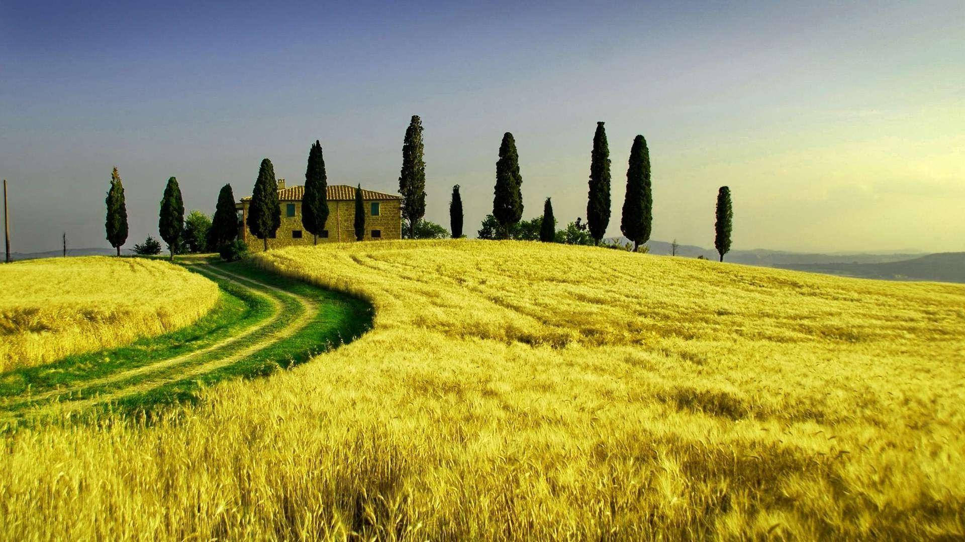 Tuscany, stone villa, cypress trees, Full HD Desktop Wallpaper