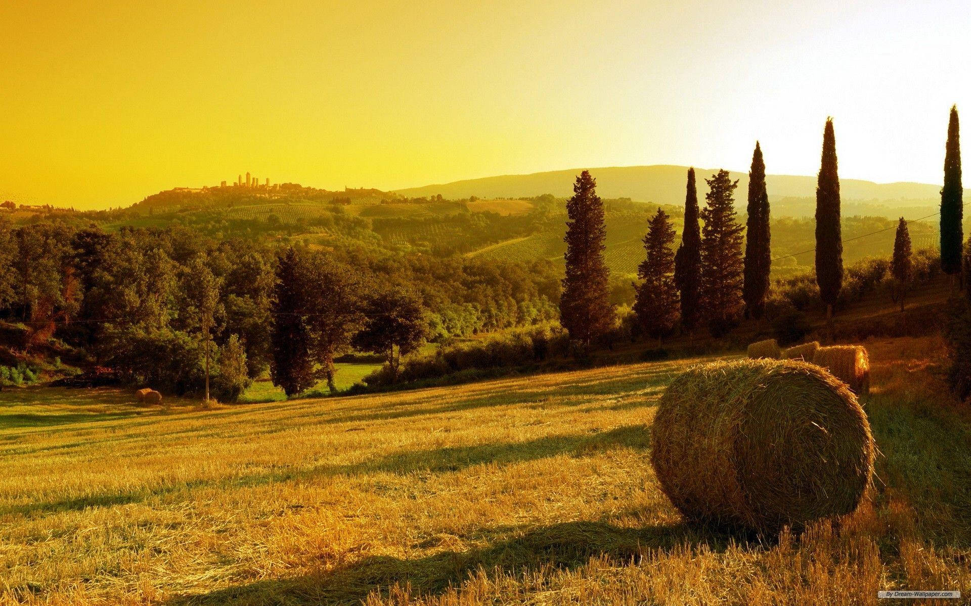 Tuscan field, hay bales, cypress trees, Full HD Desktop Wallpaper