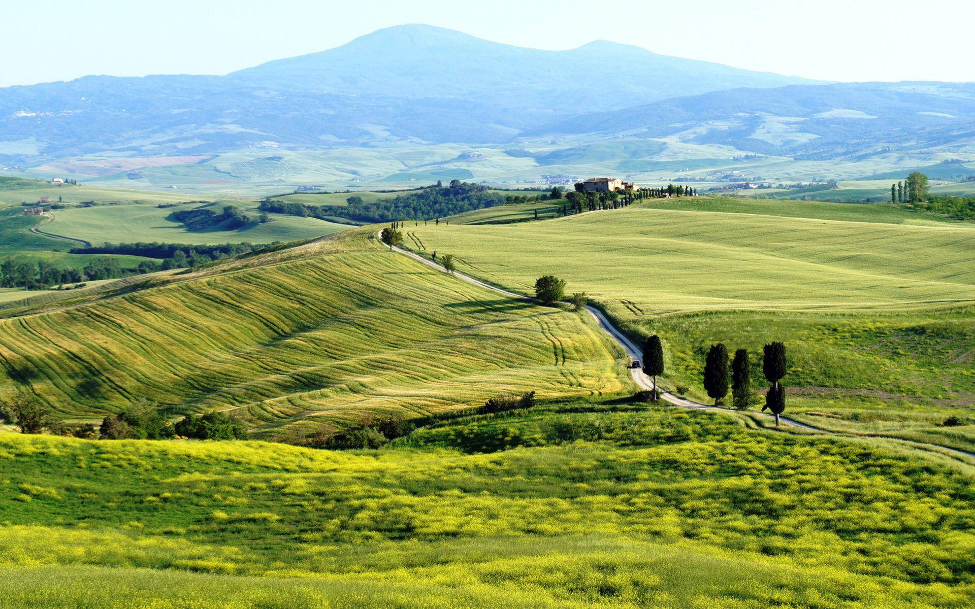 Tuscany, rolling green hills, cypress trees, Full HD Desktop Wallpaper