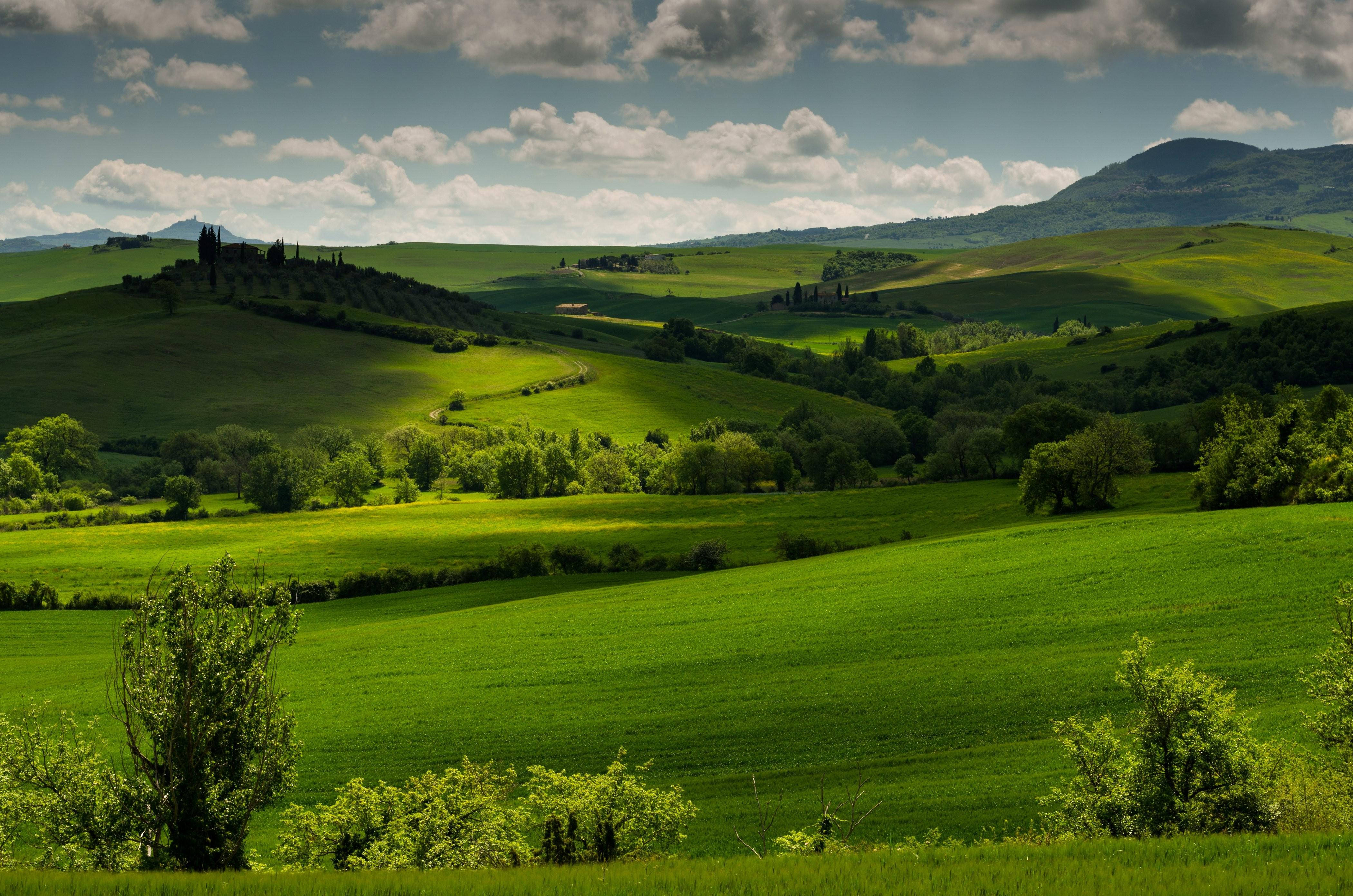 Lush Green Hills, Tuscany, cypress trees, 4K Desktop Wallpaper