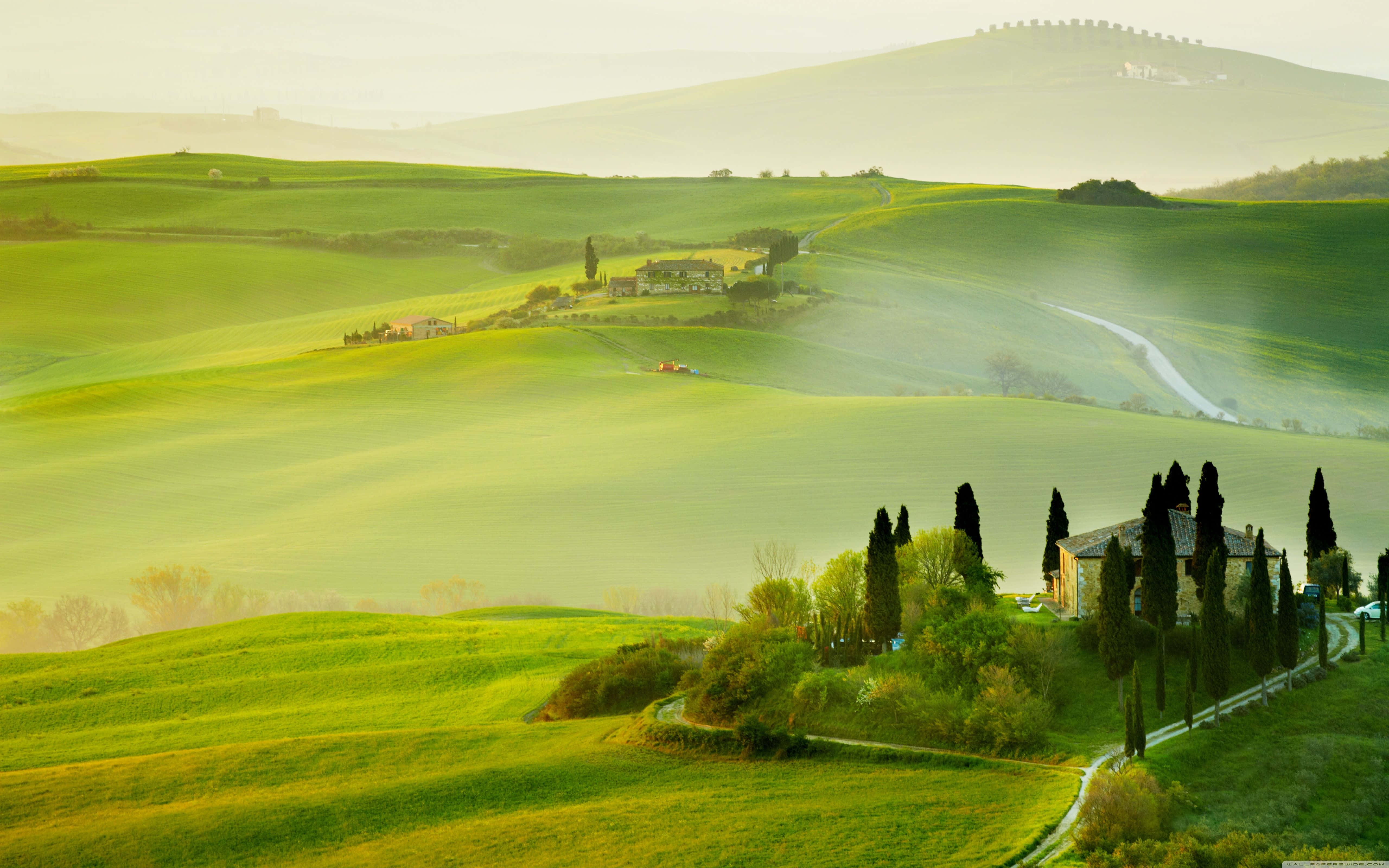 Tuscany, Rolling green hills, golden morning light, 5K Desktop Wallpaper